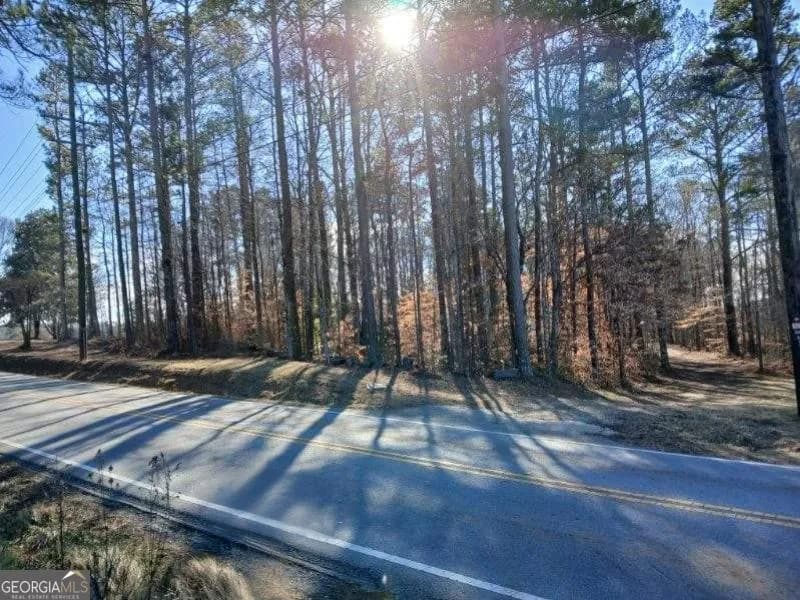 1855 S Flat Rock Rd — photo 43 of 51