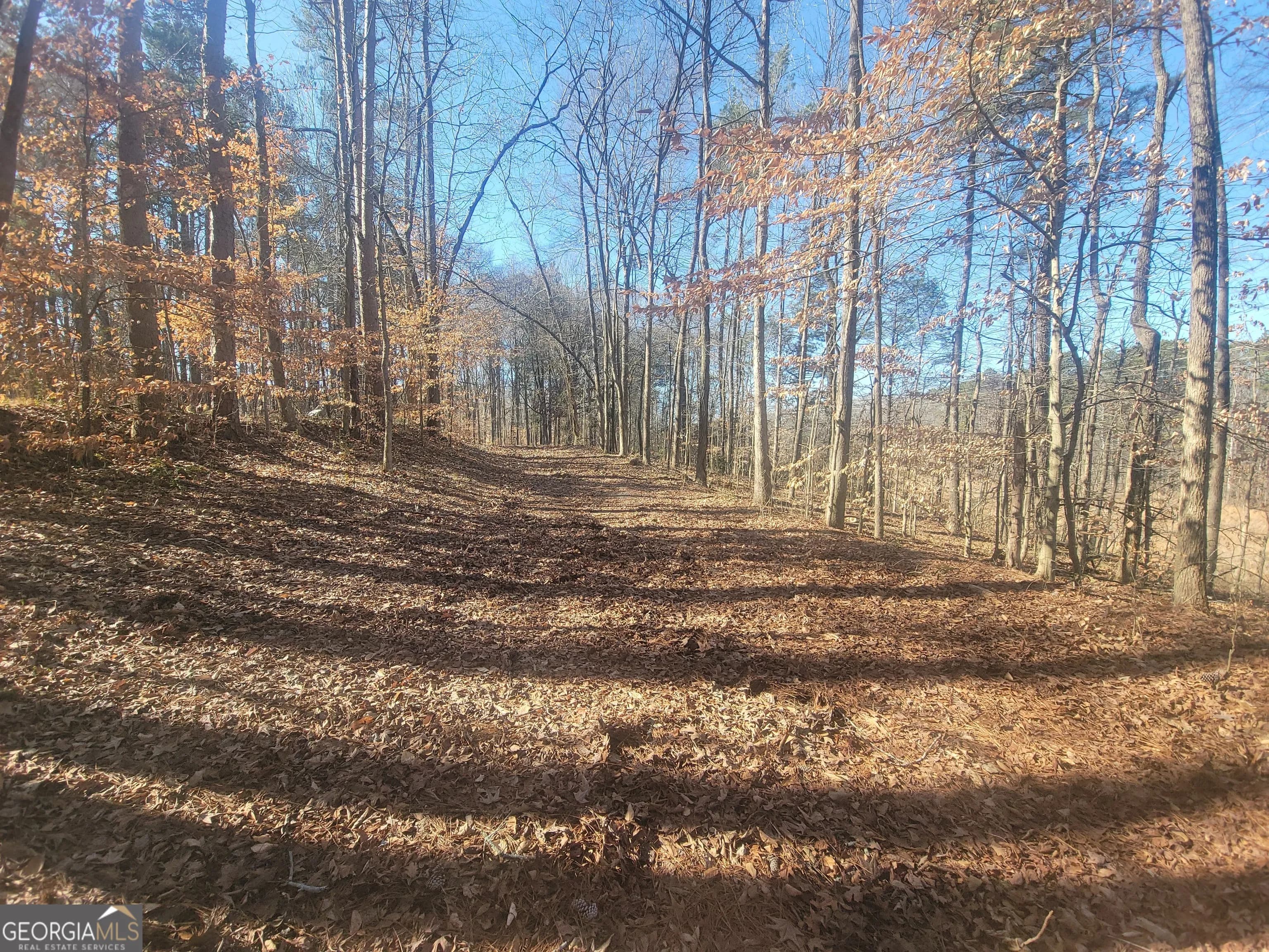 1855 S Flat Rock Rd — photo 3 of 51