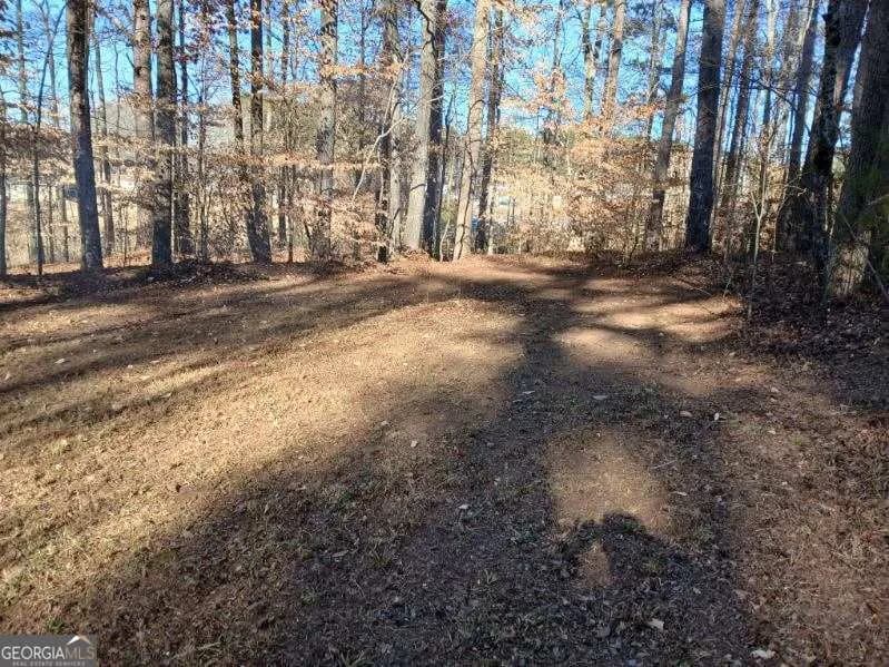 1855 S Flat Rock Rd — photo 39 of 51