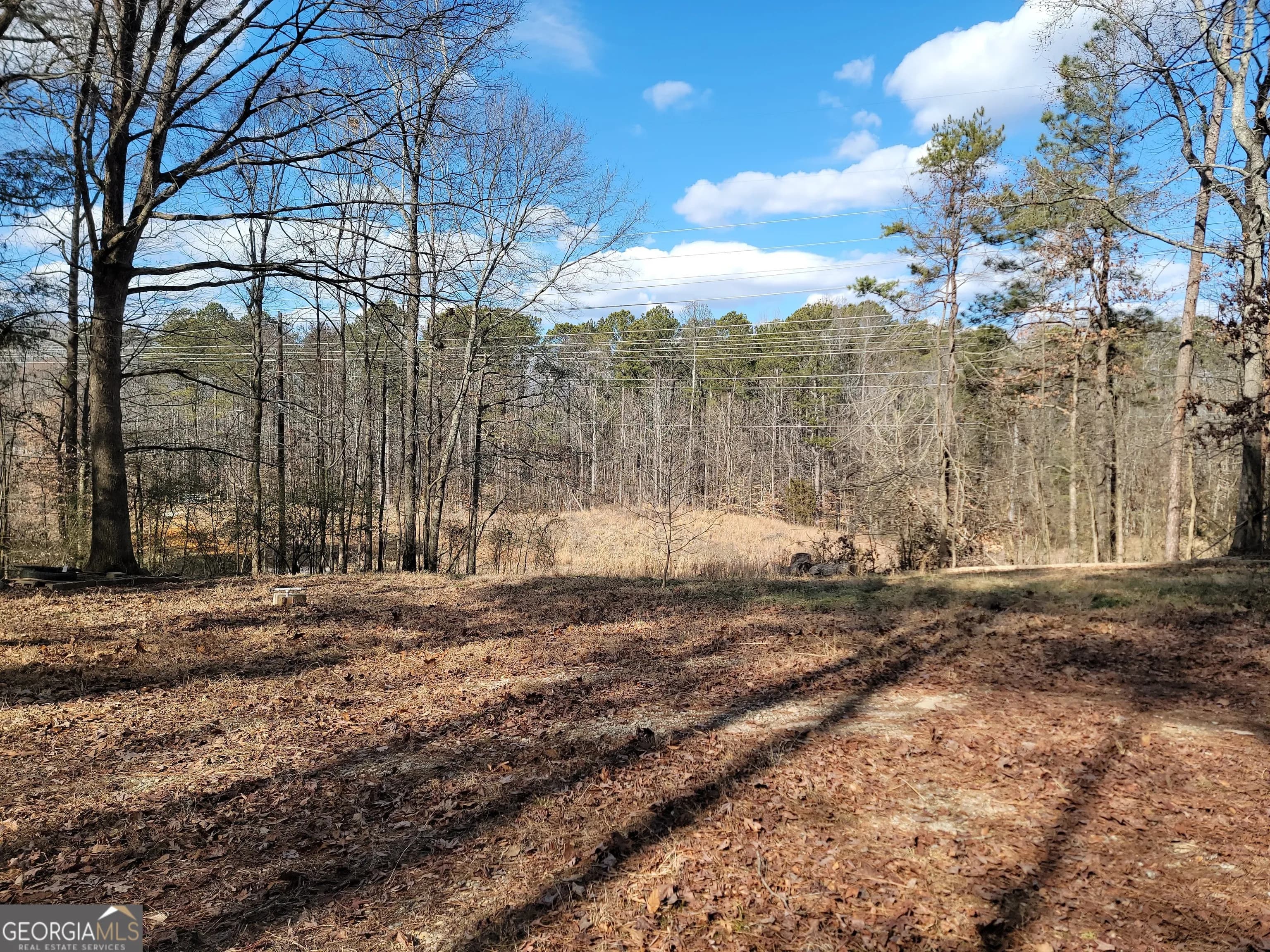 1855 S Flat Rock Rd — photo 5 of 51