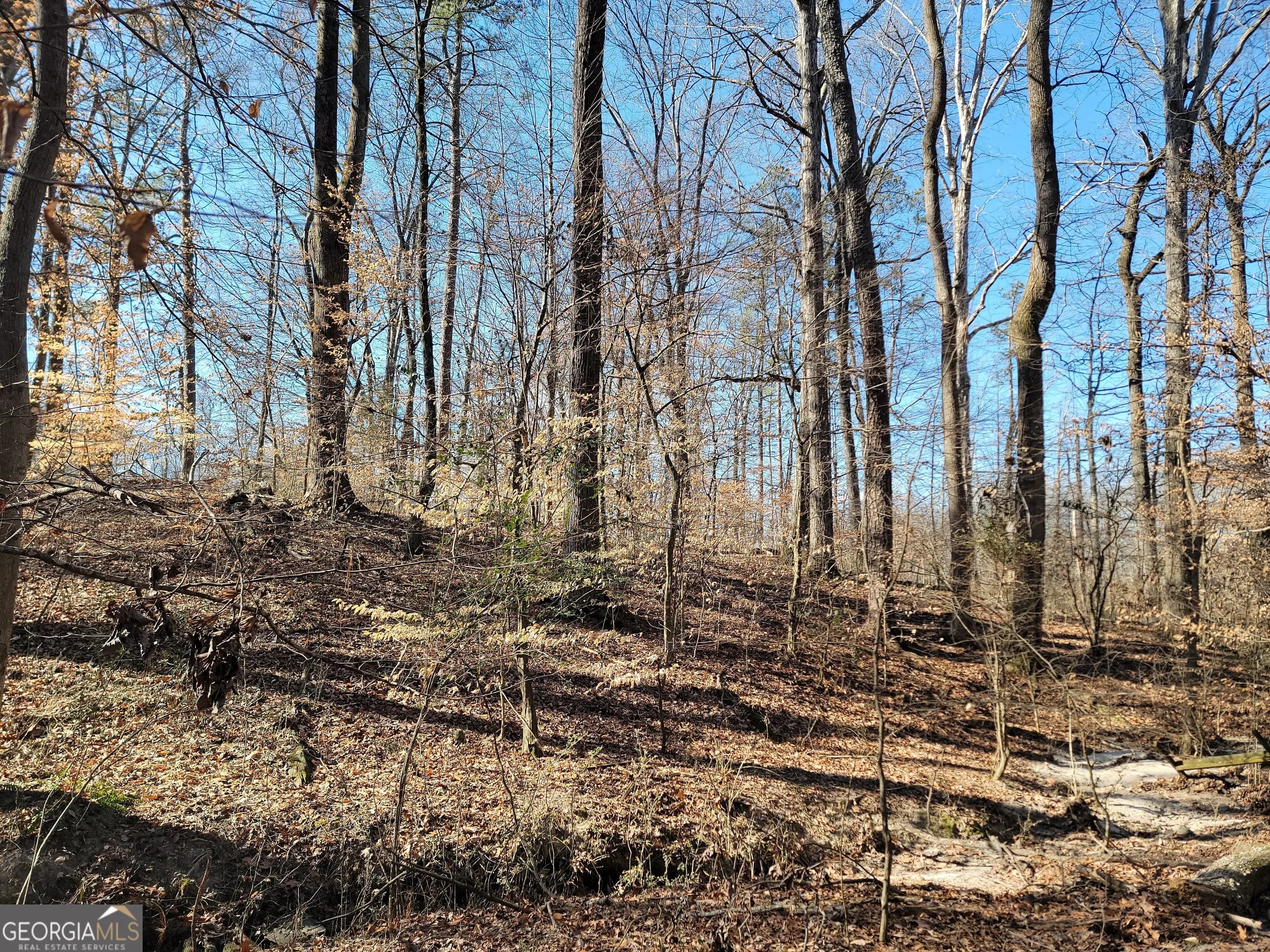 1855 S Flat Rock Rd — photo 20 of 51