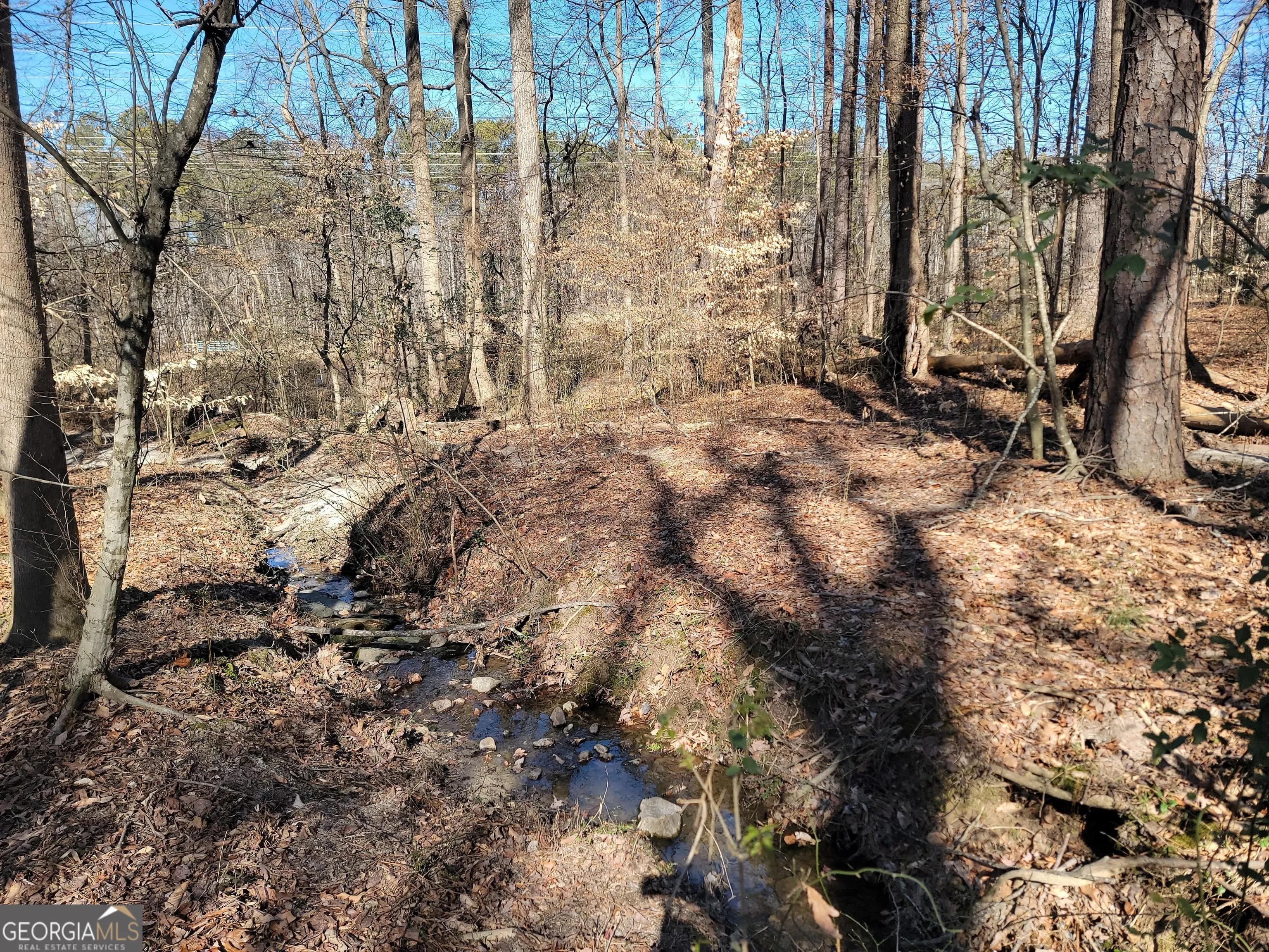 1855 S Flat Rock Rd — photo 18 of 51