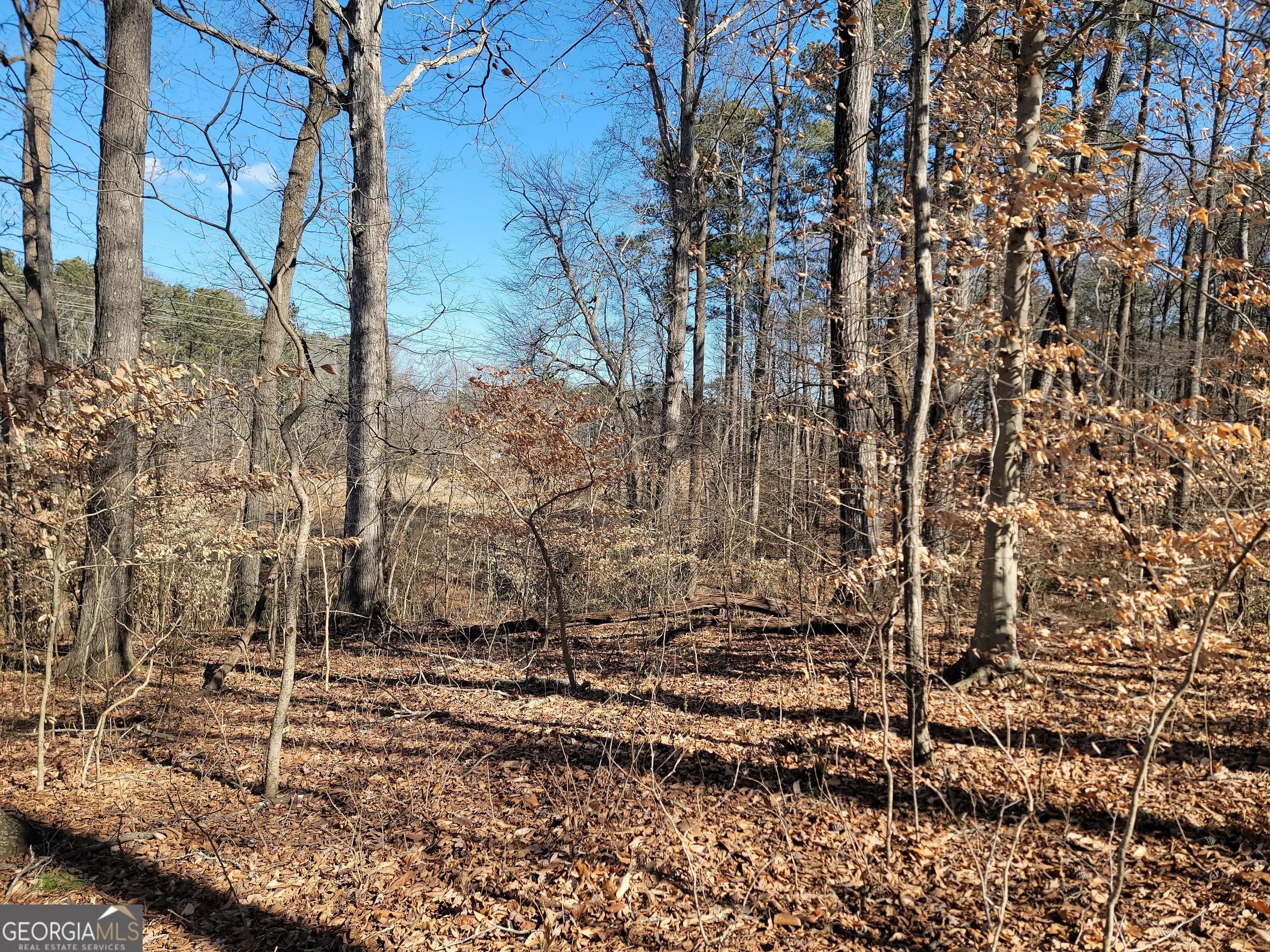 1855 S Flat Rock Rd — photo 16 of 51