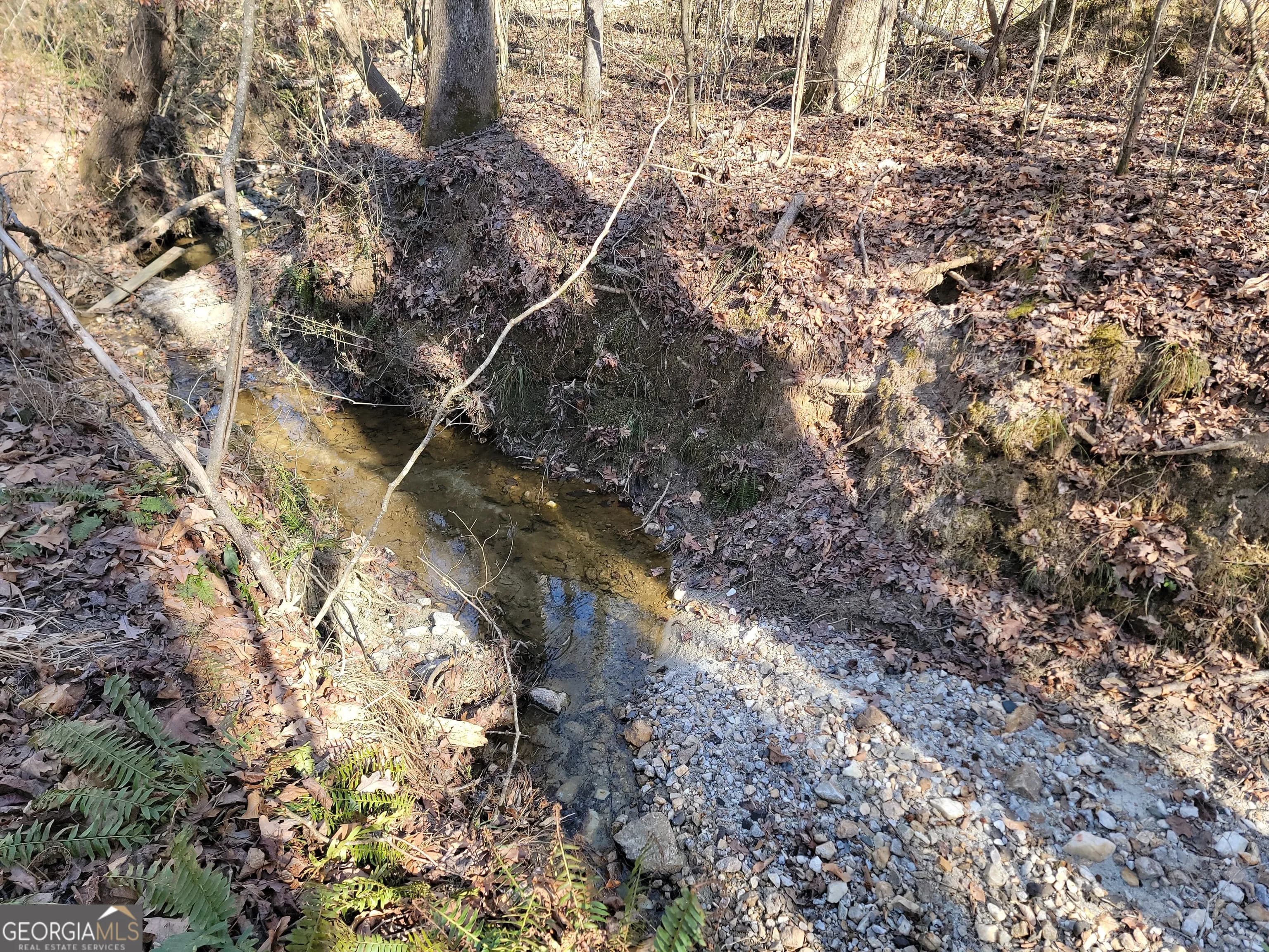 1855 S Flat Rock Rd — photo 8 of 51