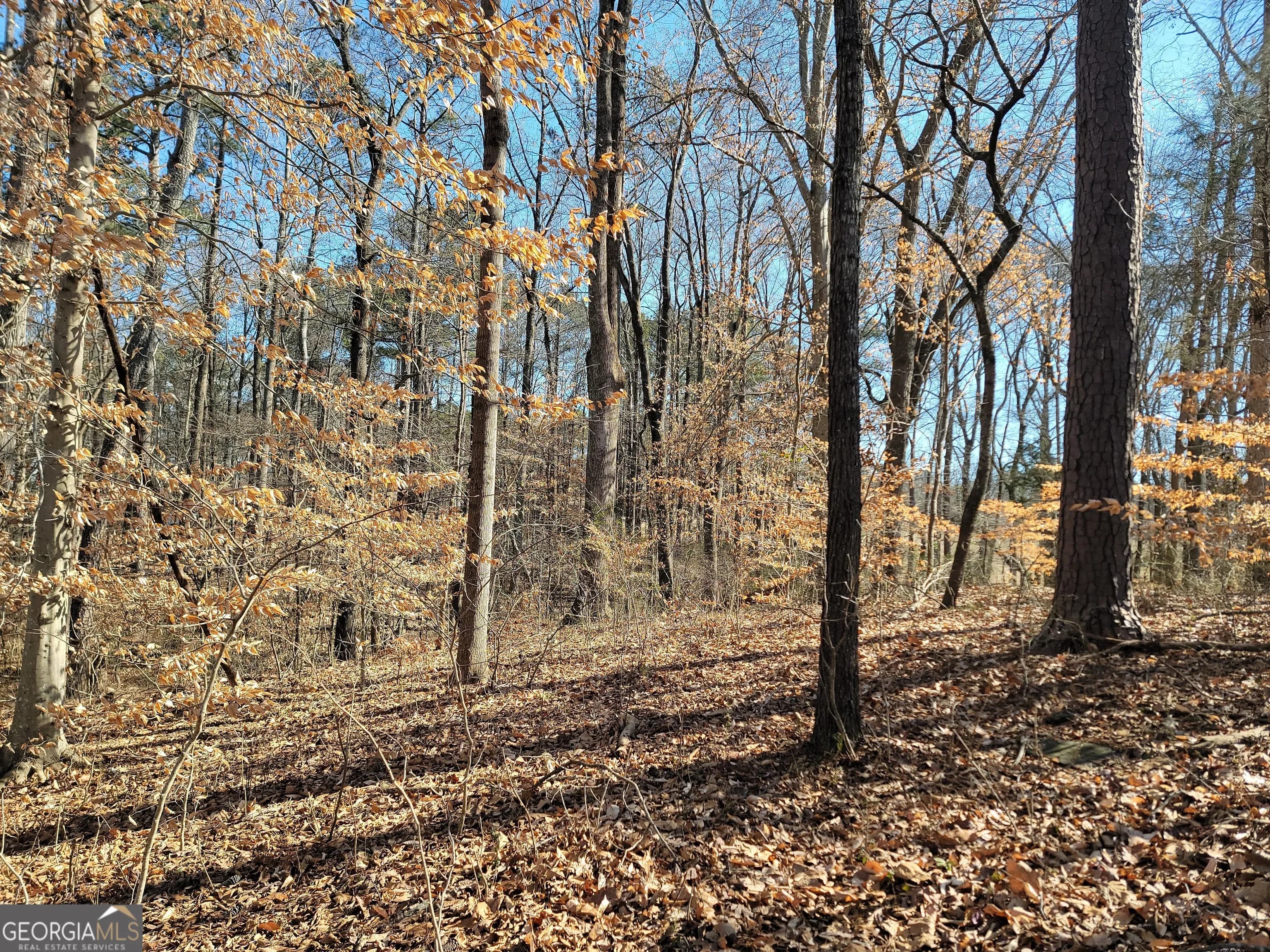 1855 S Flat Rock Rd — photo 17 of 51