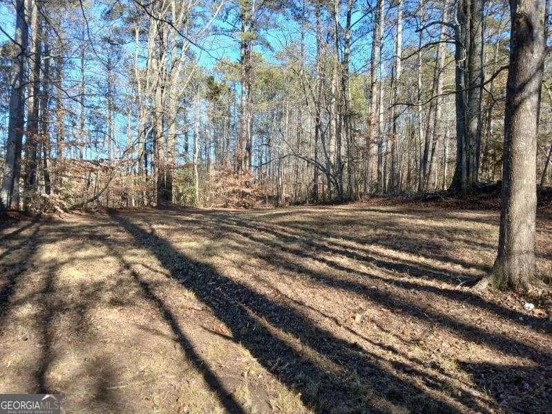 1855 S Flat Rock Rd — photo 32 of 51