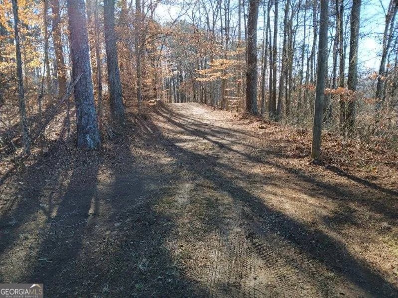1855 S Flat Rock Rd — photo 44 of 51