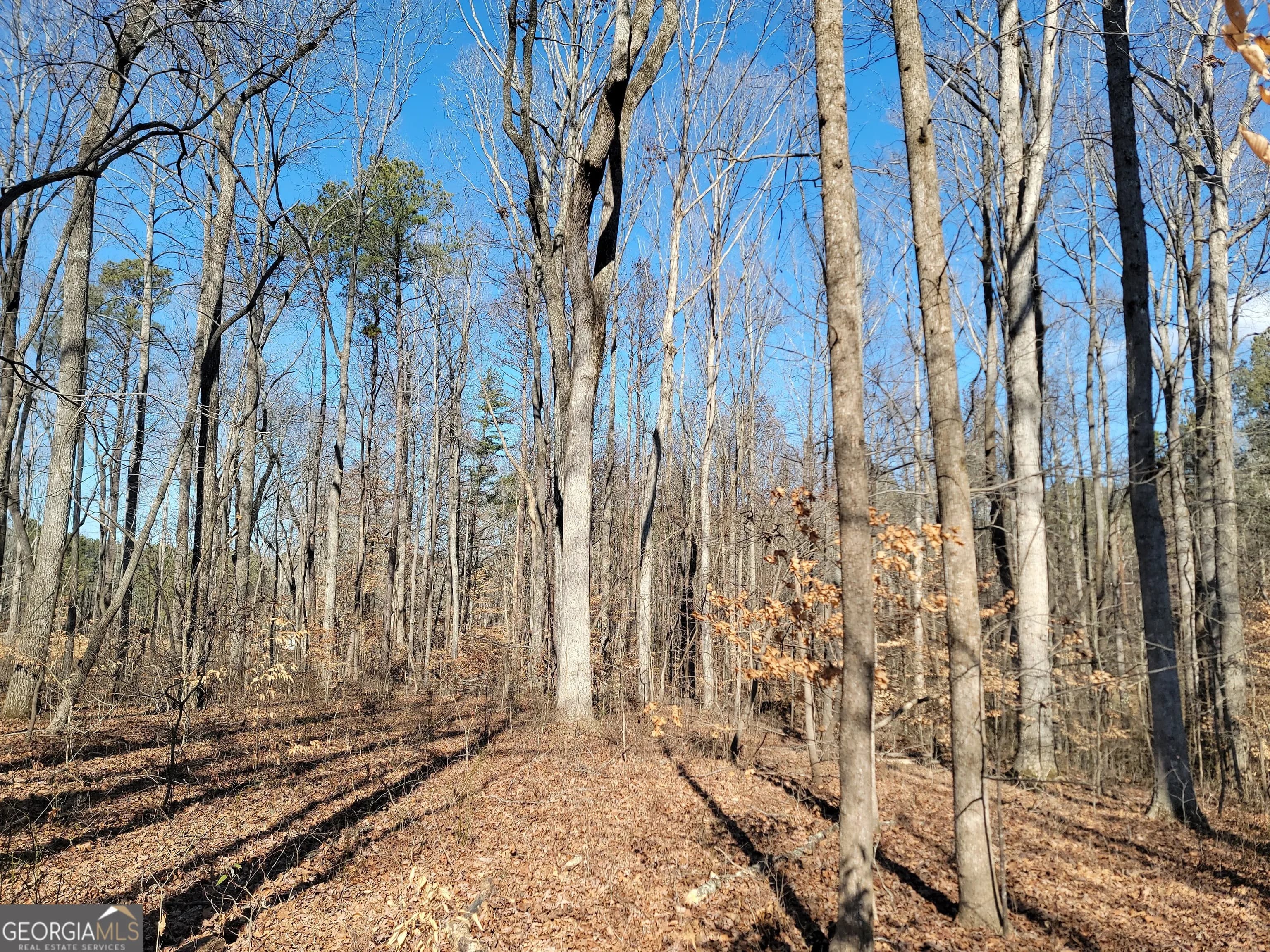 1855 S Flat Rock Rd — photo 10 of 51
