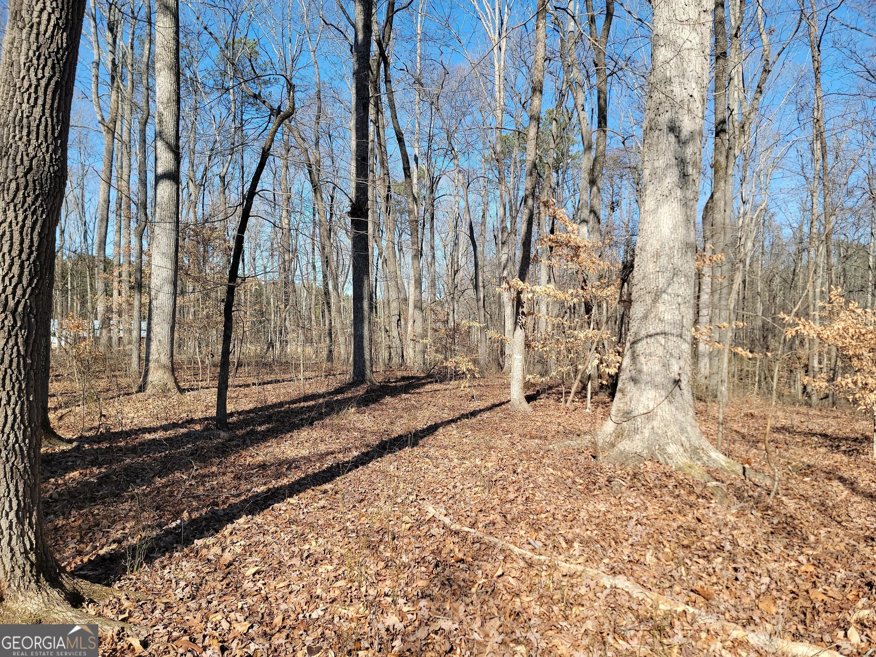 1855 S Flat Rock Rd — photo 28 of 51