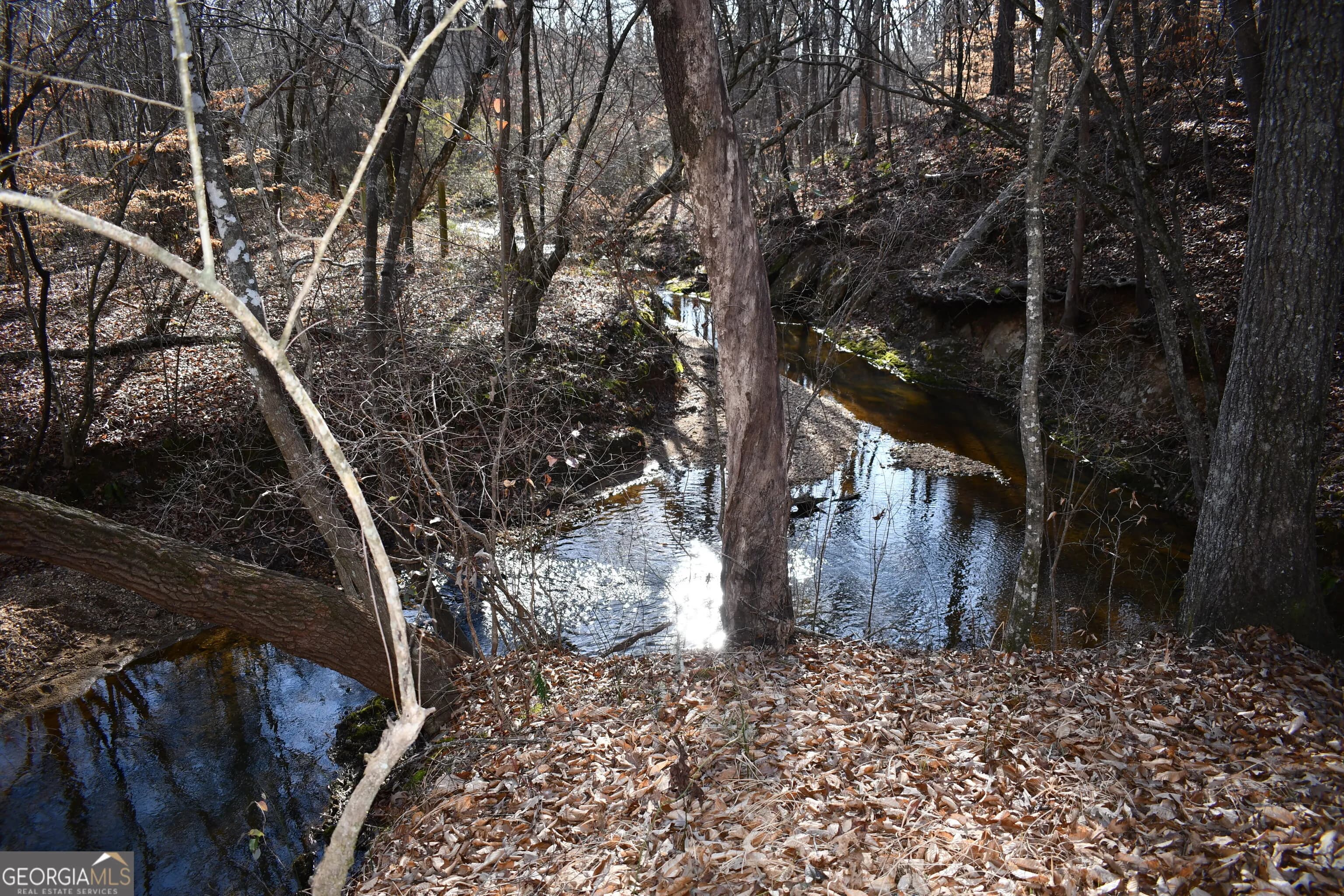 2977 Georgia Highway 120 — photo 40 of 61