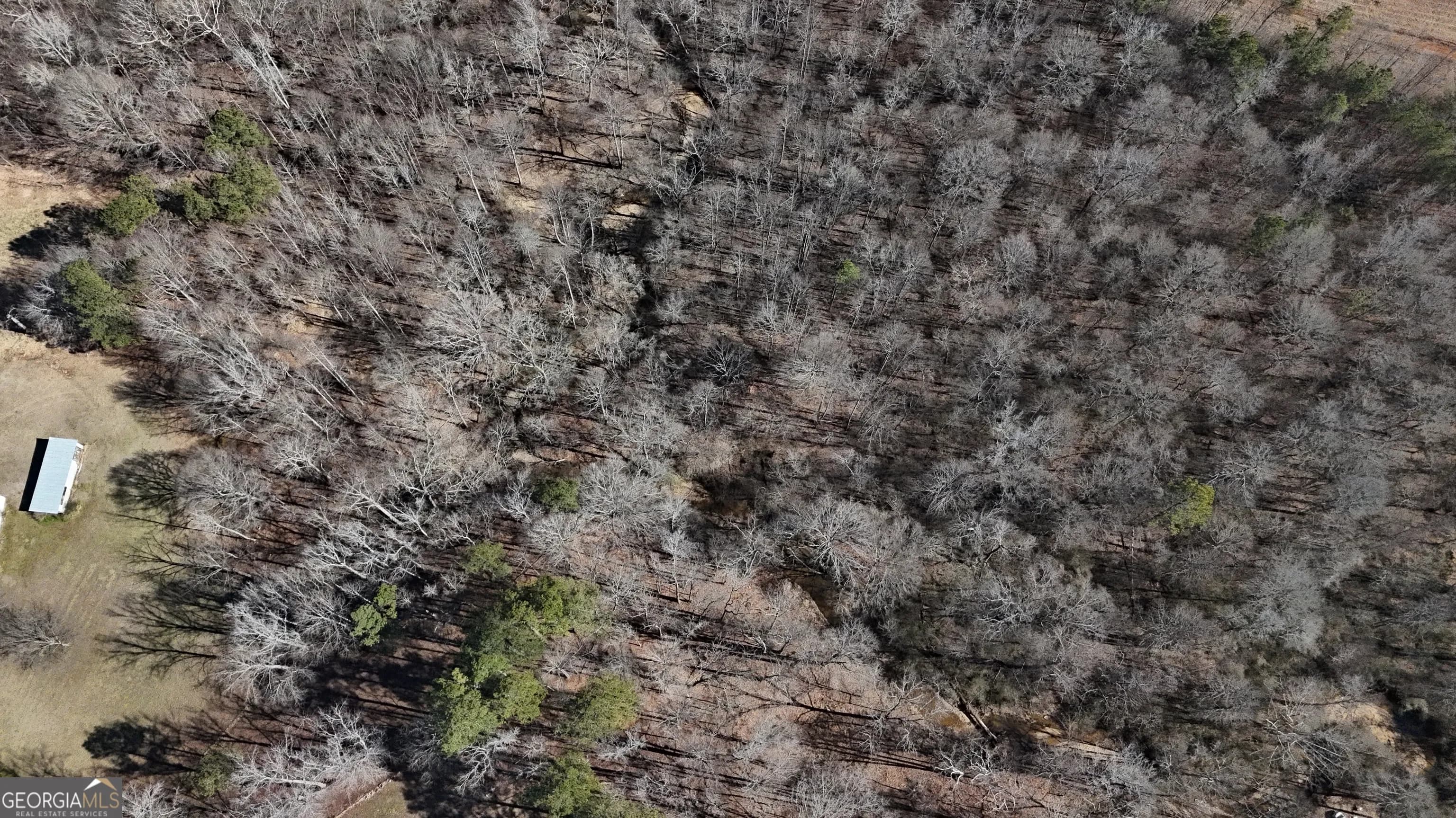 2977 Georgia Highway 120 — photo 21 of 61
