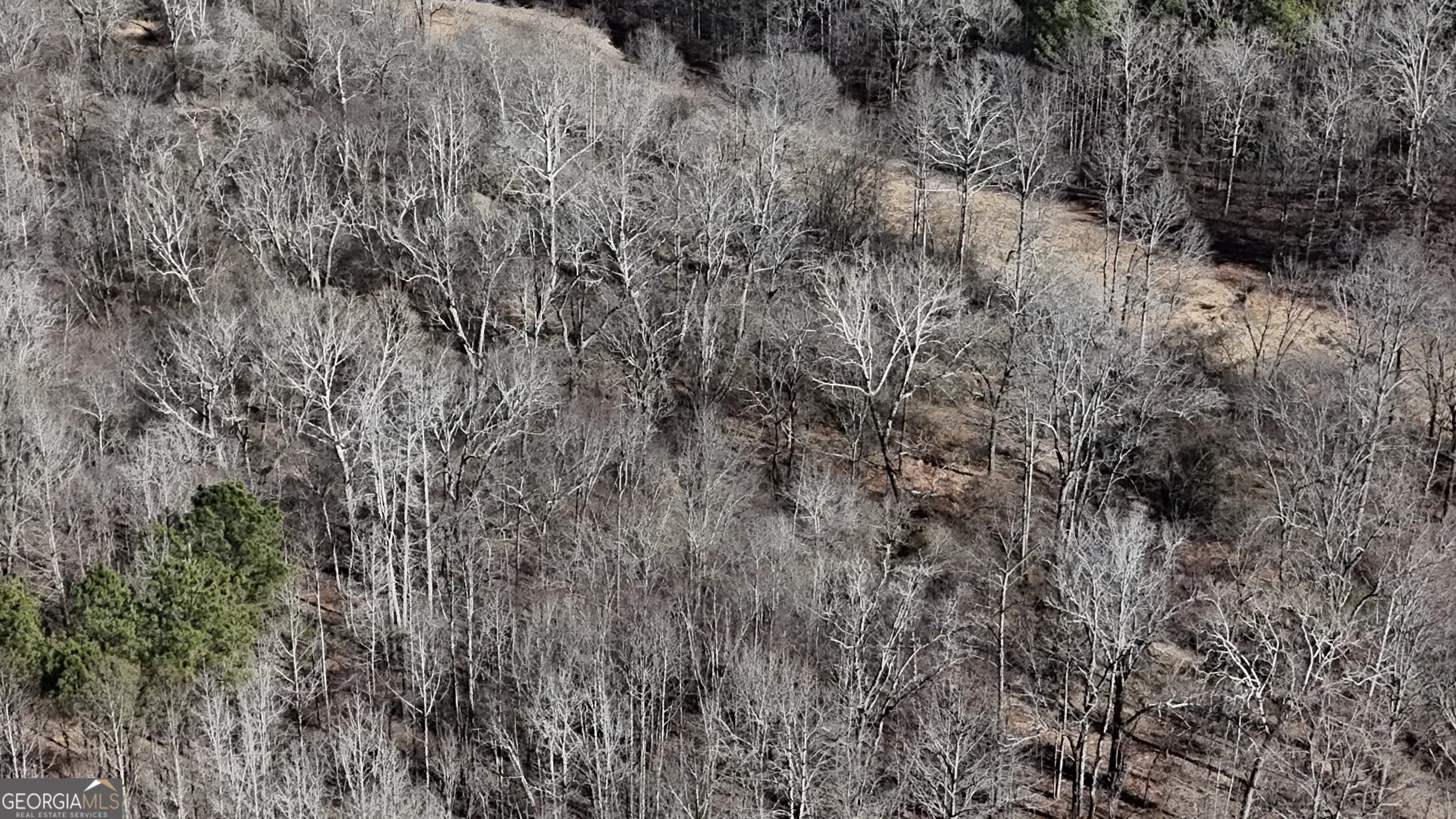 2977 Georgia Highway 120 — photo 25 of 61