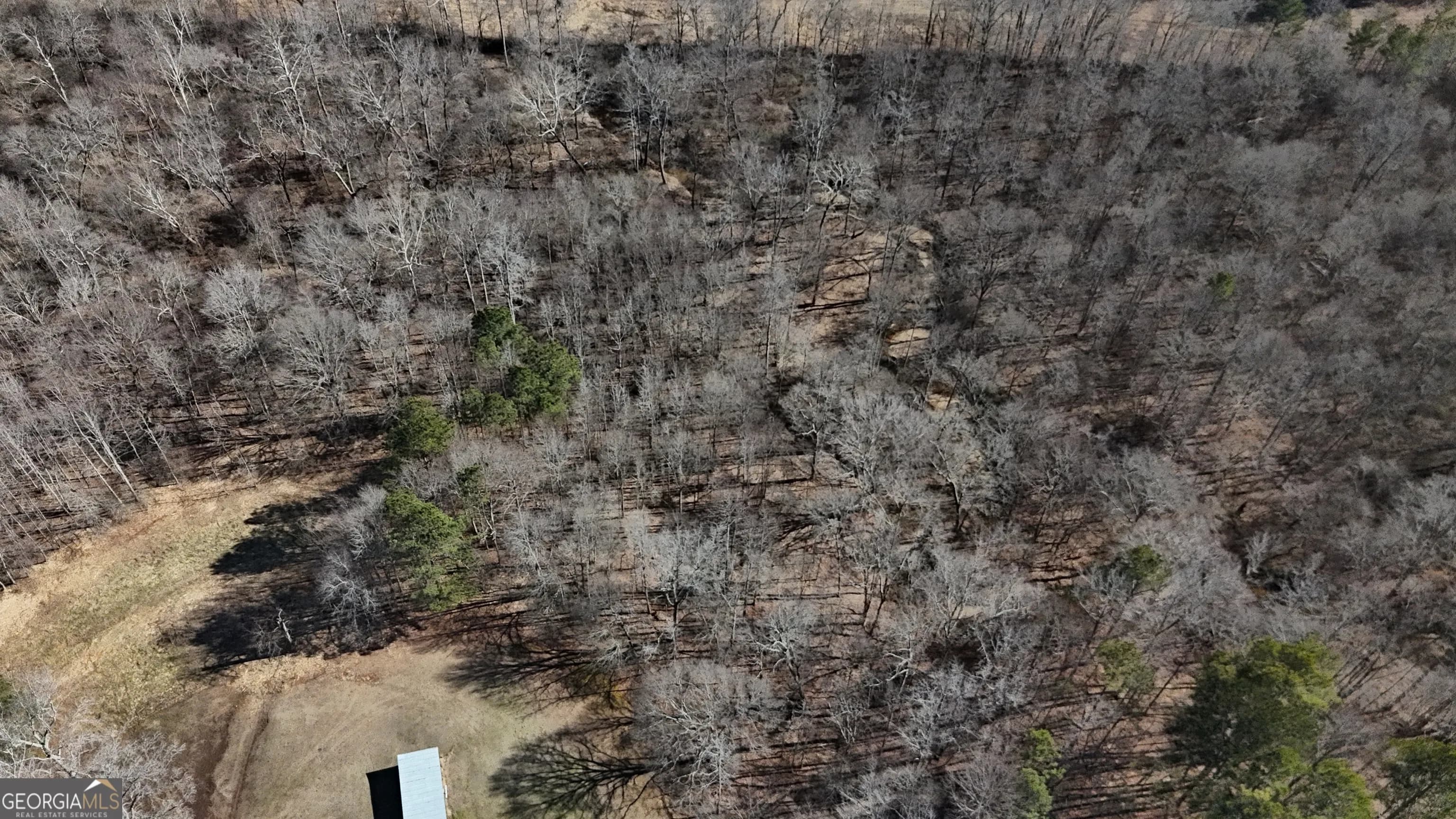 2977 Georgia Highway 120 — photo 18 of 61