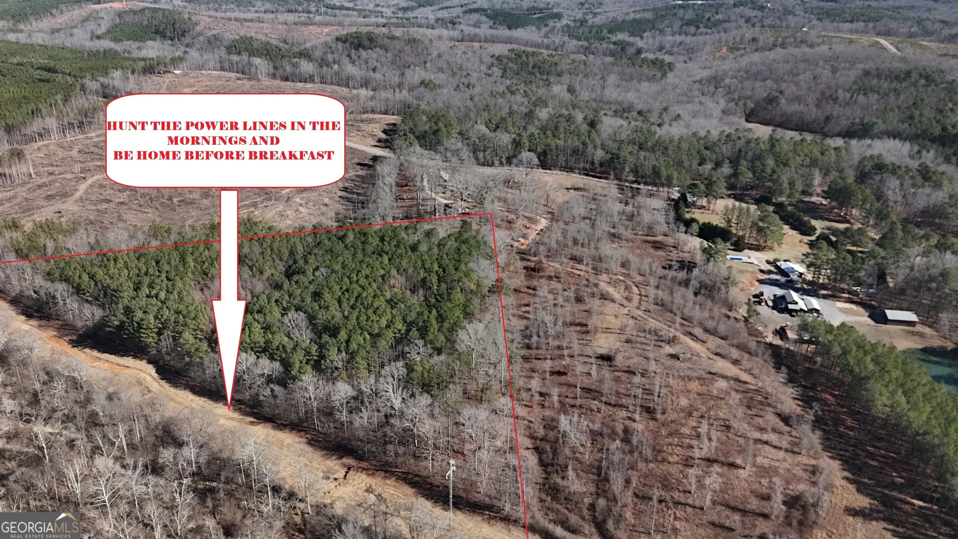 2977 Georgia Highway 120 — photo 20 of 61