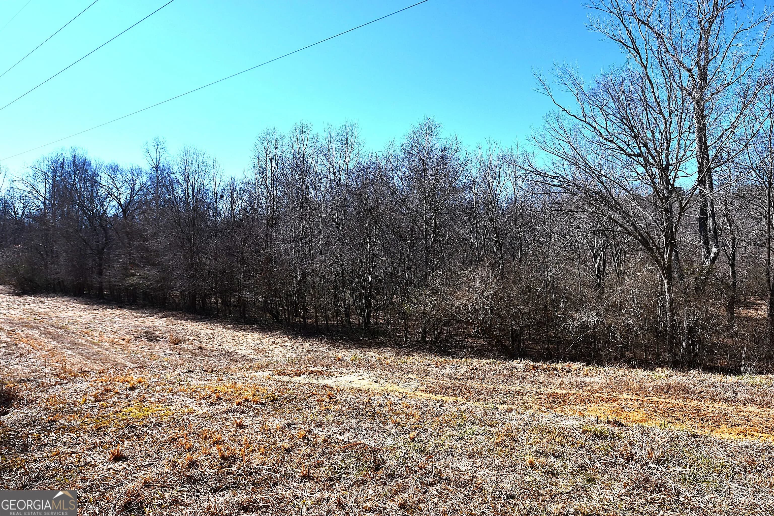 2977 Georgia Highway 120 — photo 11 of 61