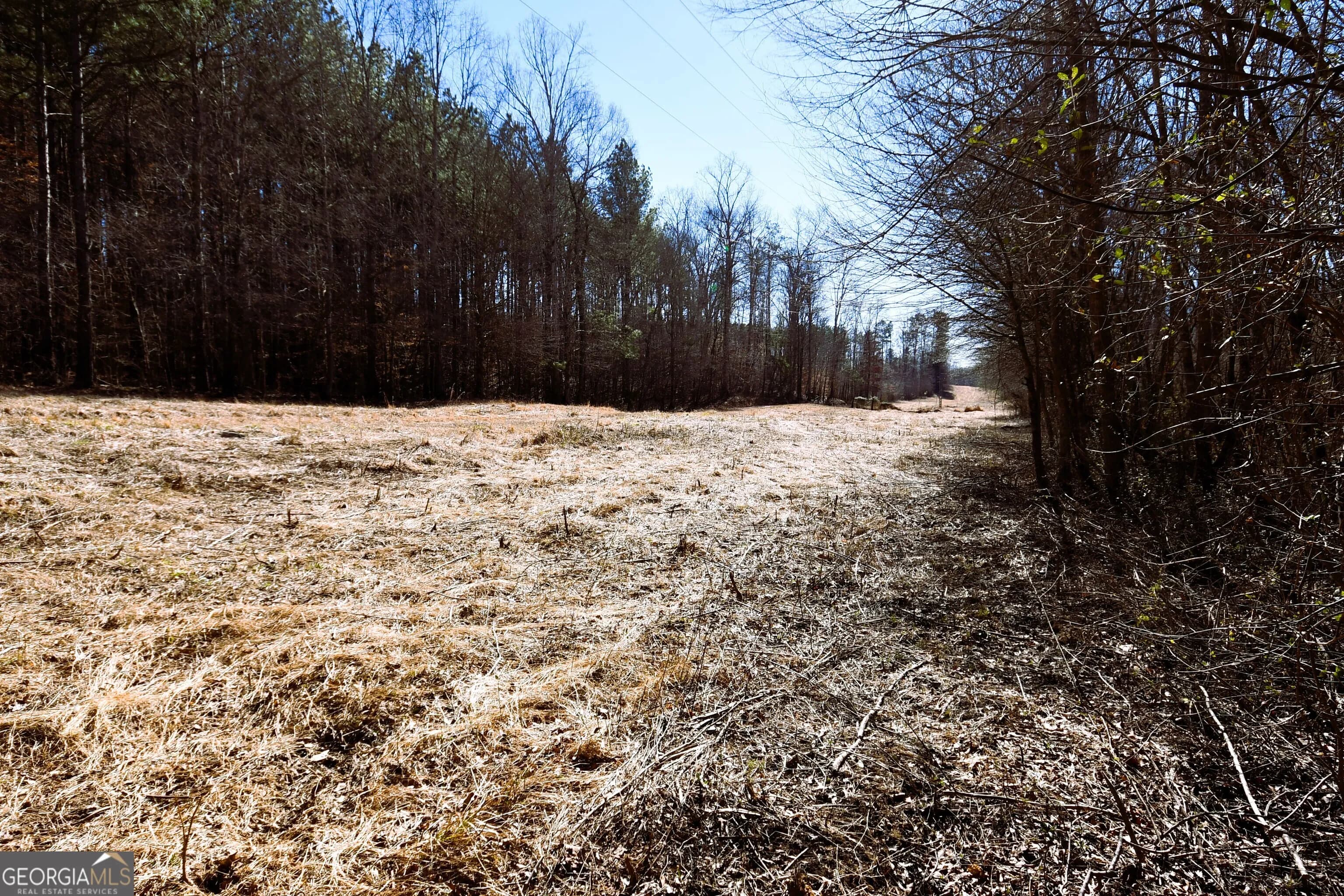 2977 Georgia Highway 120 — photo 60 of 61