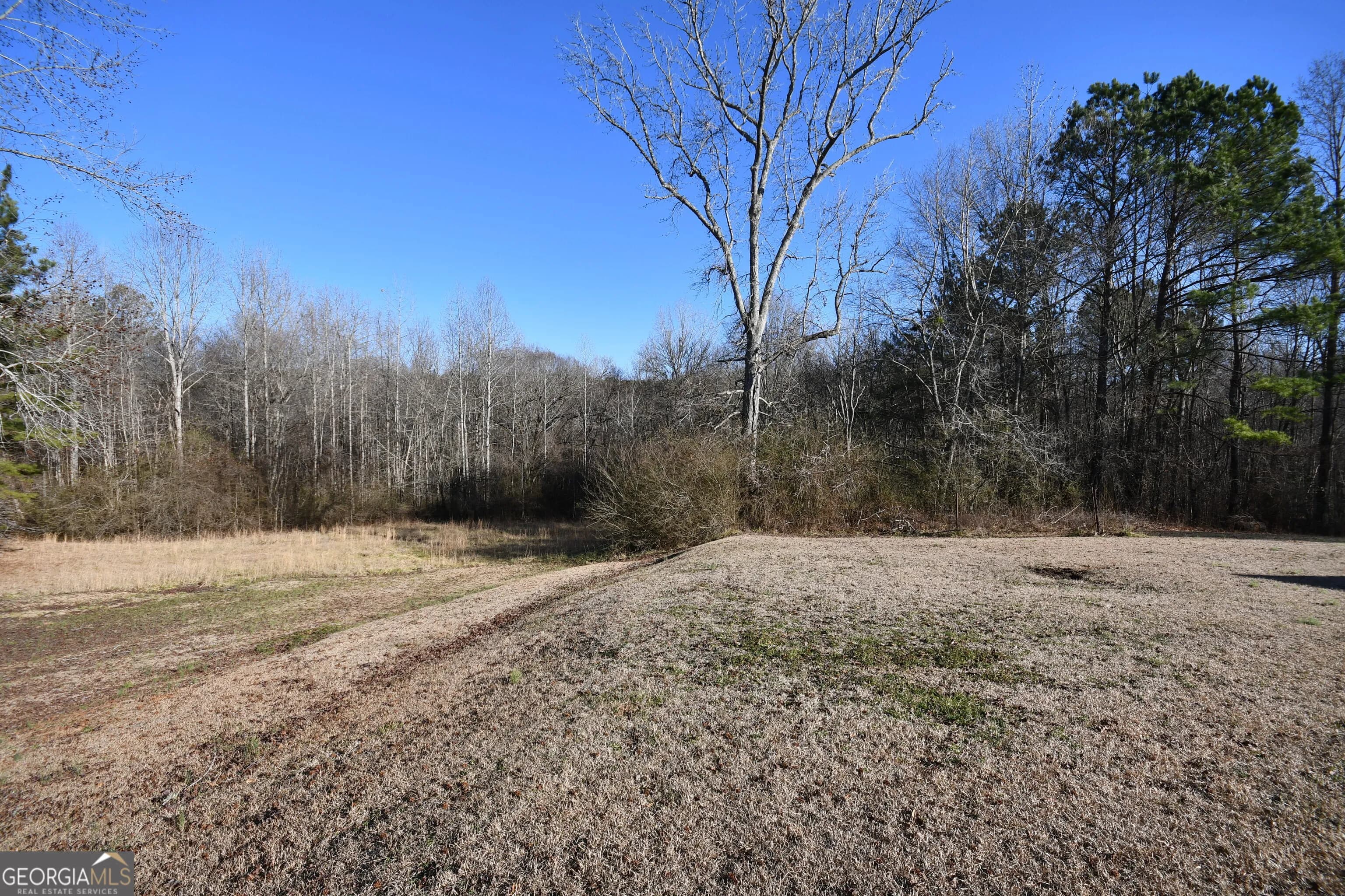 2977 Georgia Highway 120 — photo 48 of 61