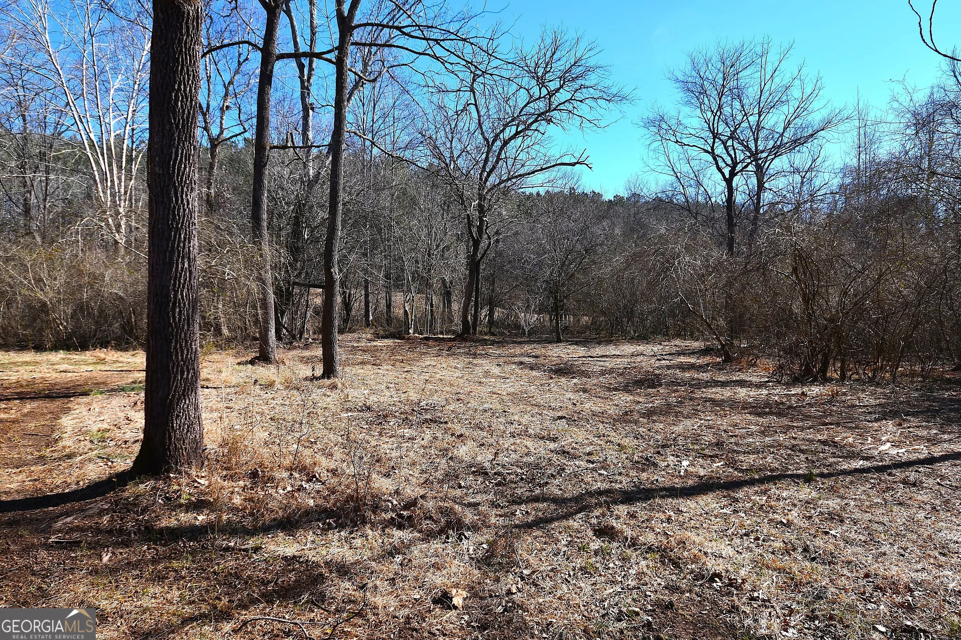 2977 Georgia Highway 120 — photo 35 of 61