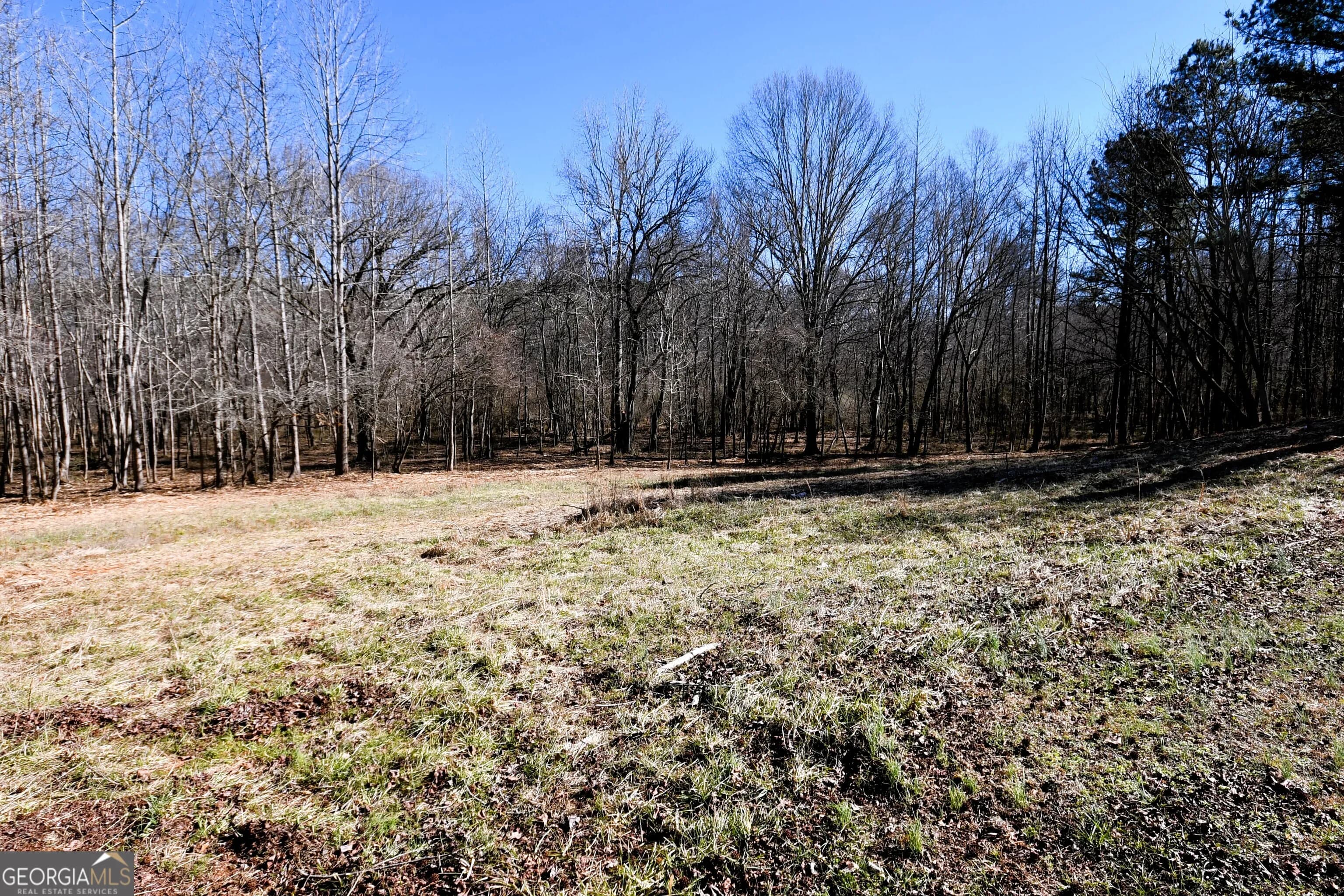 2977 Georgia Highway 120 — photo 46 of 61
