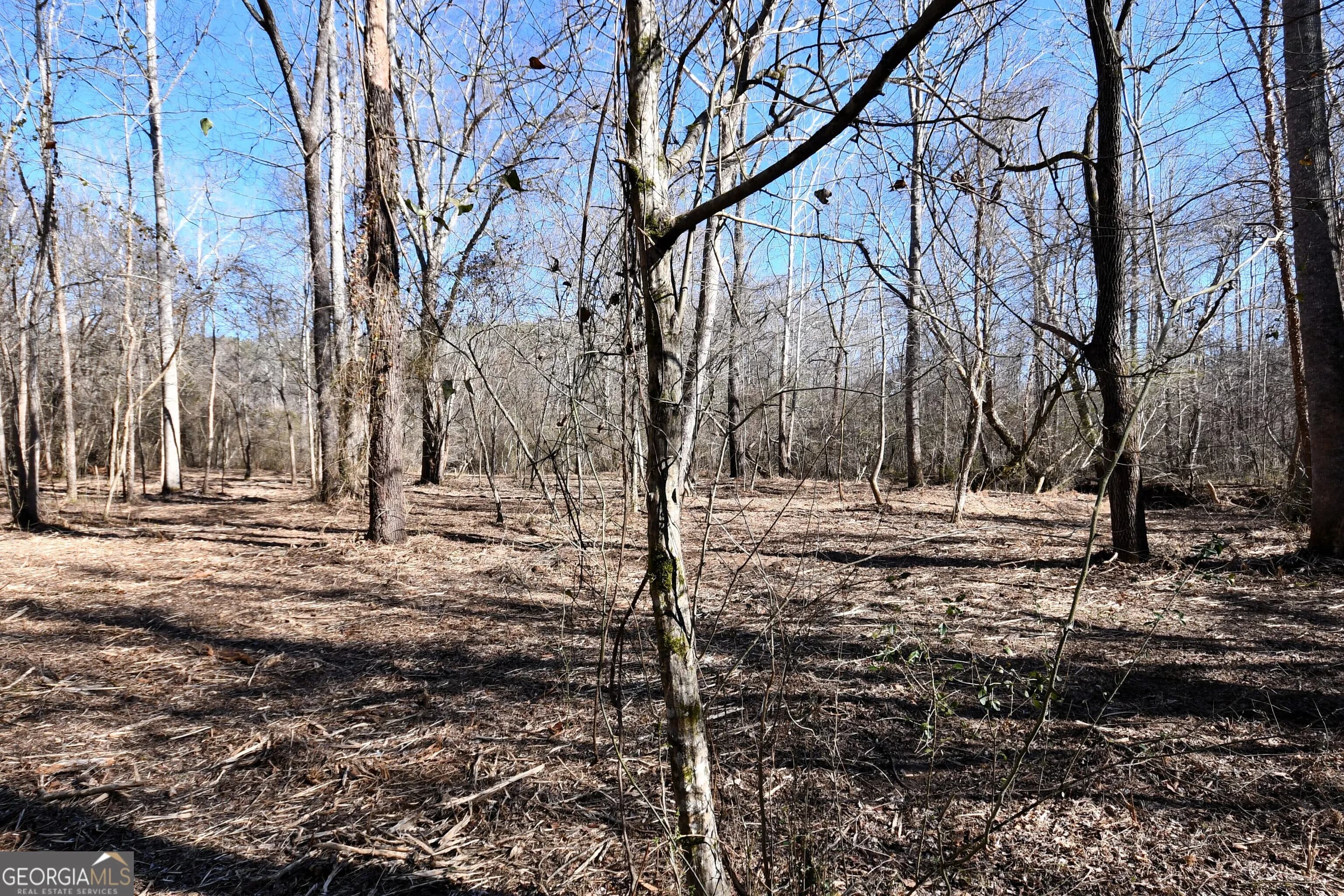2977 Georgia Highway 120 — photo 5 of 61