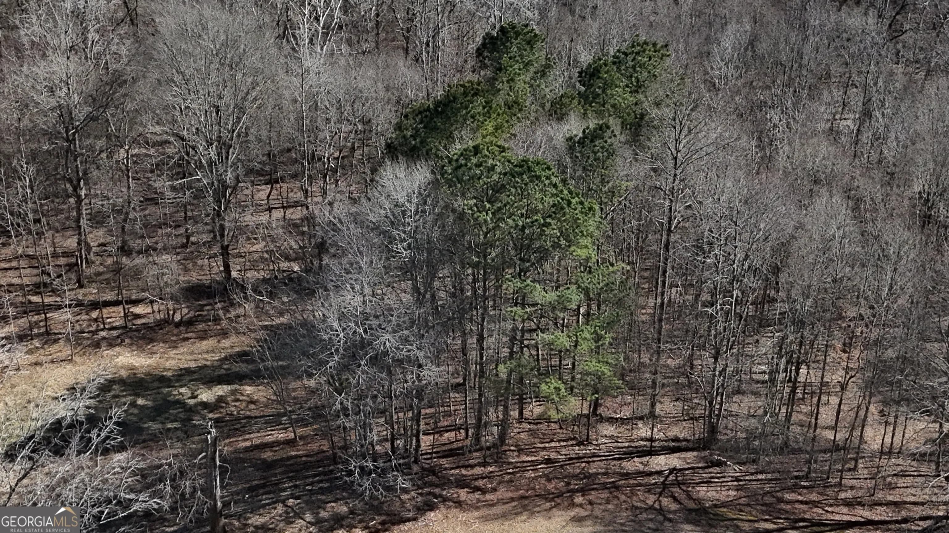 2977 Georgia Highway 120 — photo 27 of 61