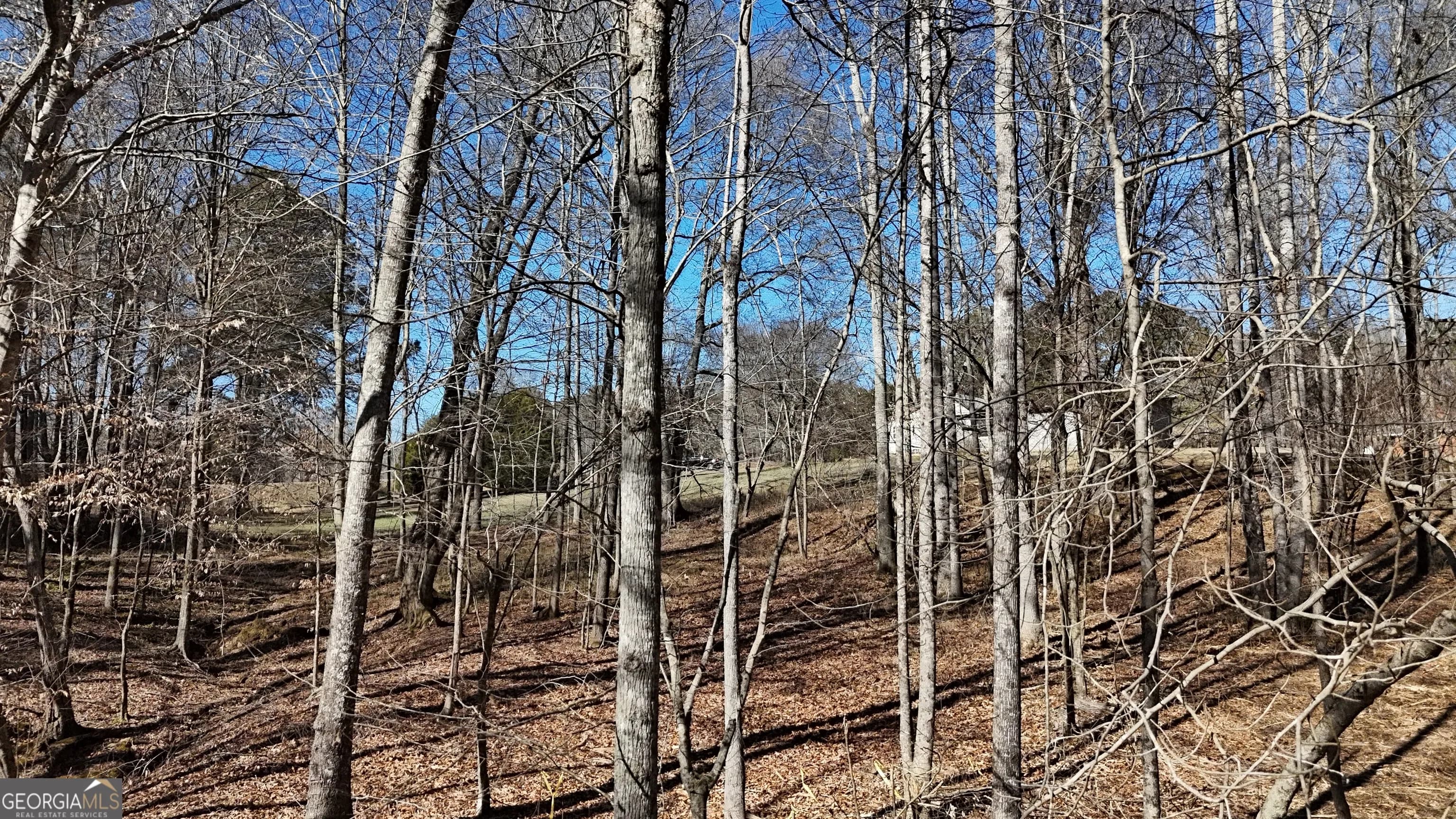 2977 Georgia Highway 120 — photo 12 of 61
