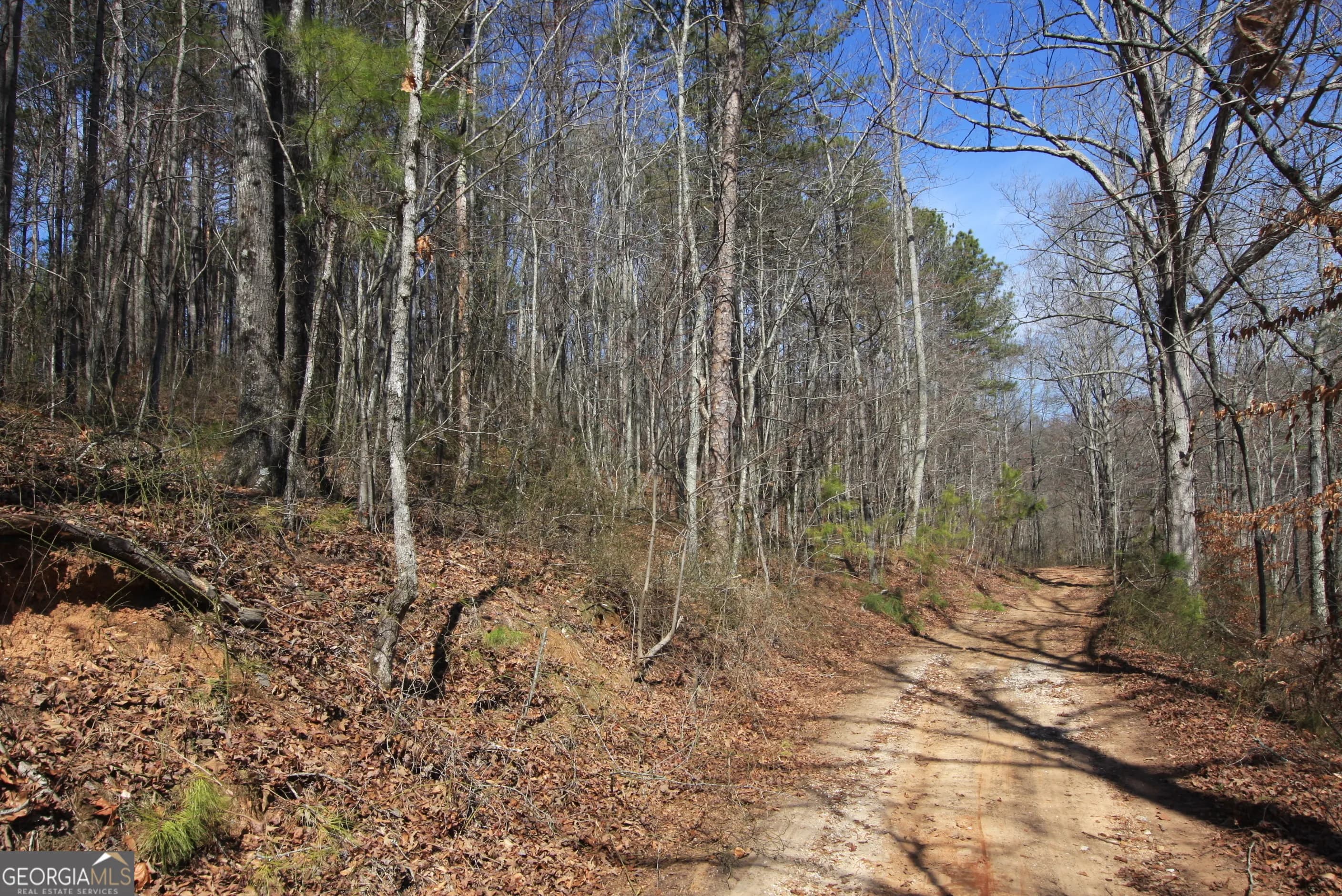 0 Stone Mtn St — photo 3 of 14