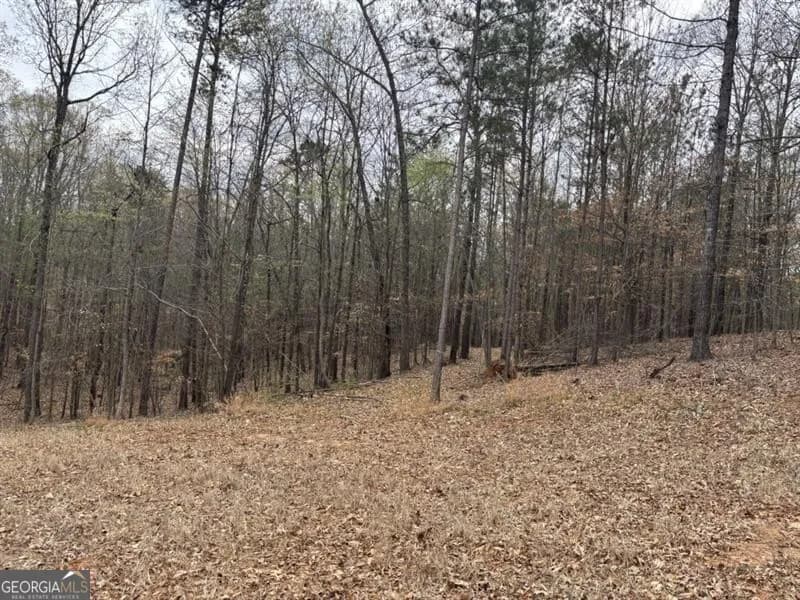 0 Summer Lake Rd — photo 2 of 2