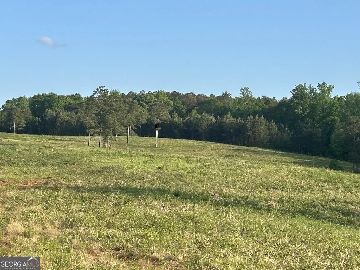 0 Needmore Road - (345.37 Acres) — photo 22 of 39