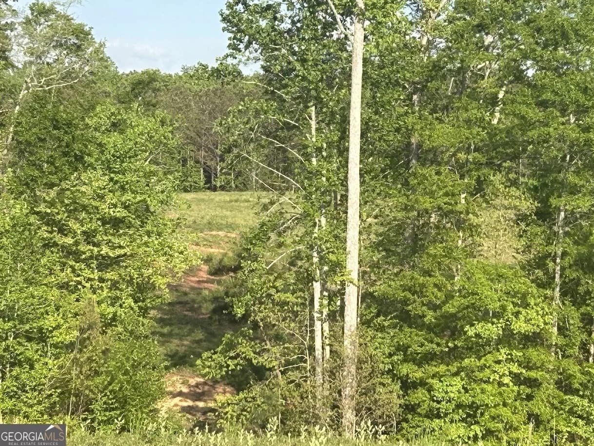 0 Needmore Road - (345.37 Acres) — photo 9 of 39