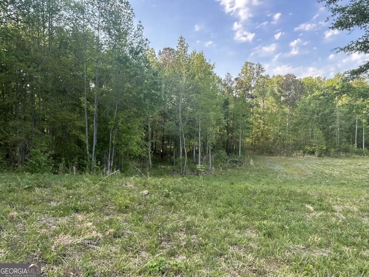 0 Needmore Road - (345.37 Acres) — photo 17 of 39