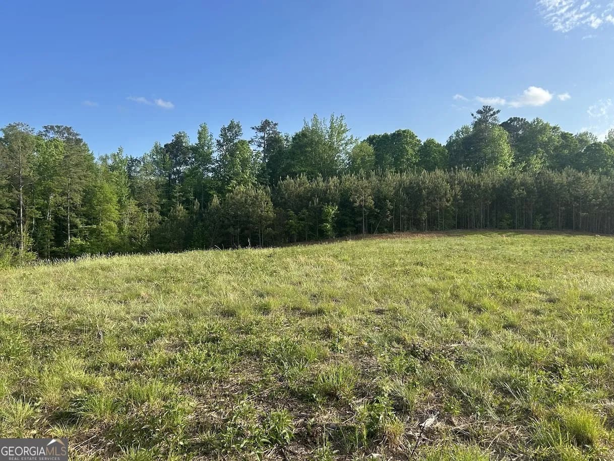 0 Needmore Road - (345.37 Acres) — photo 5 of 39