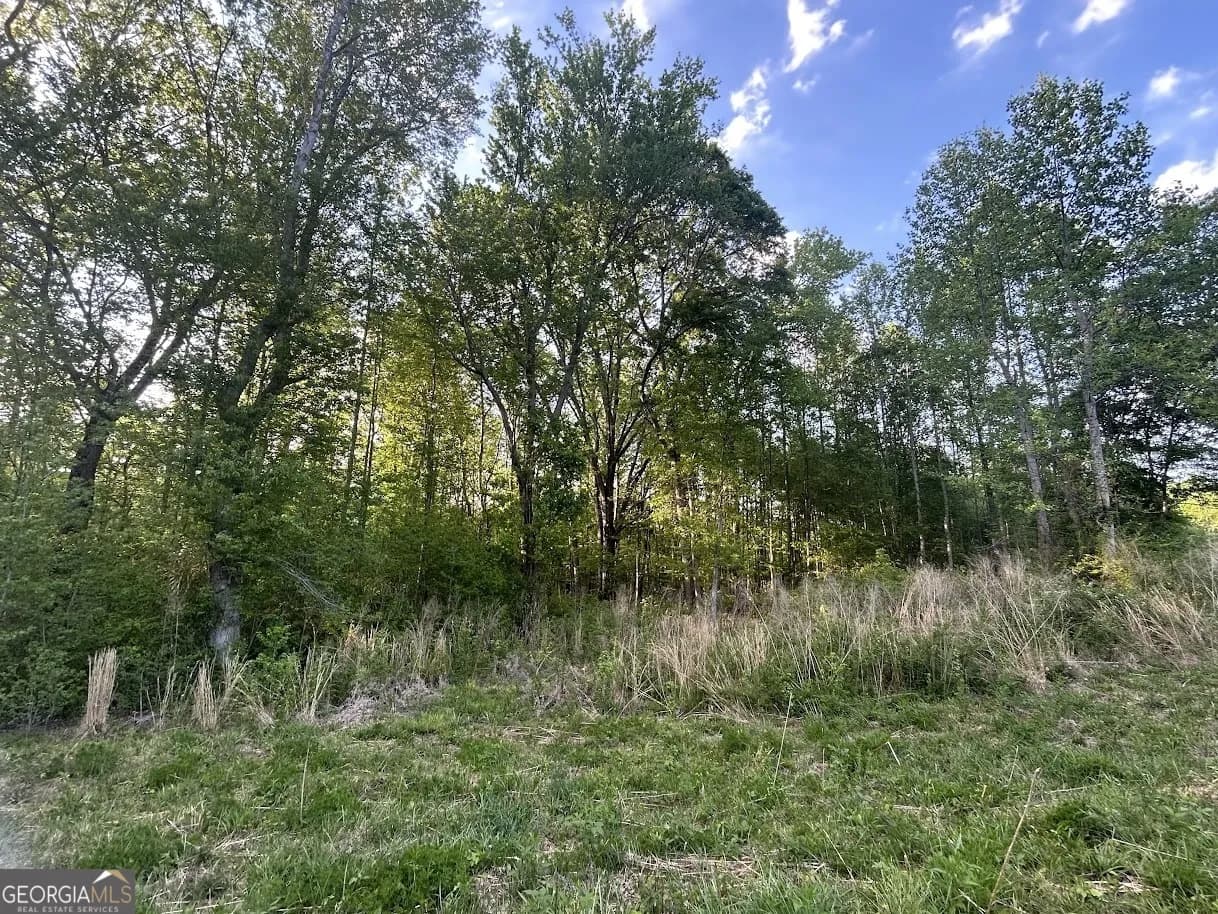 0 Needmore Road - (345.37 Acres) — photo 18 of 39