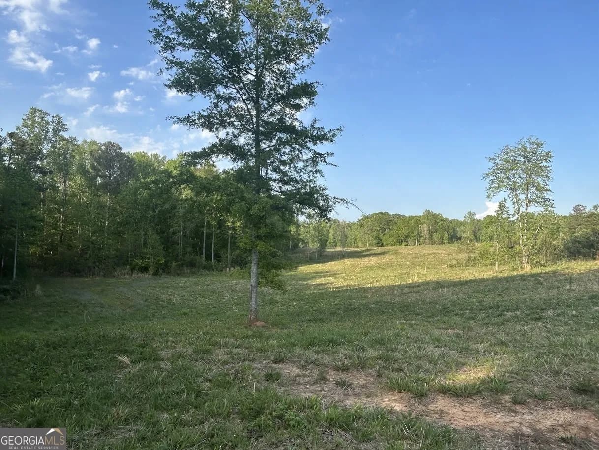 0 Needmore Road - (345.37 Acres) — photo 16 of 39