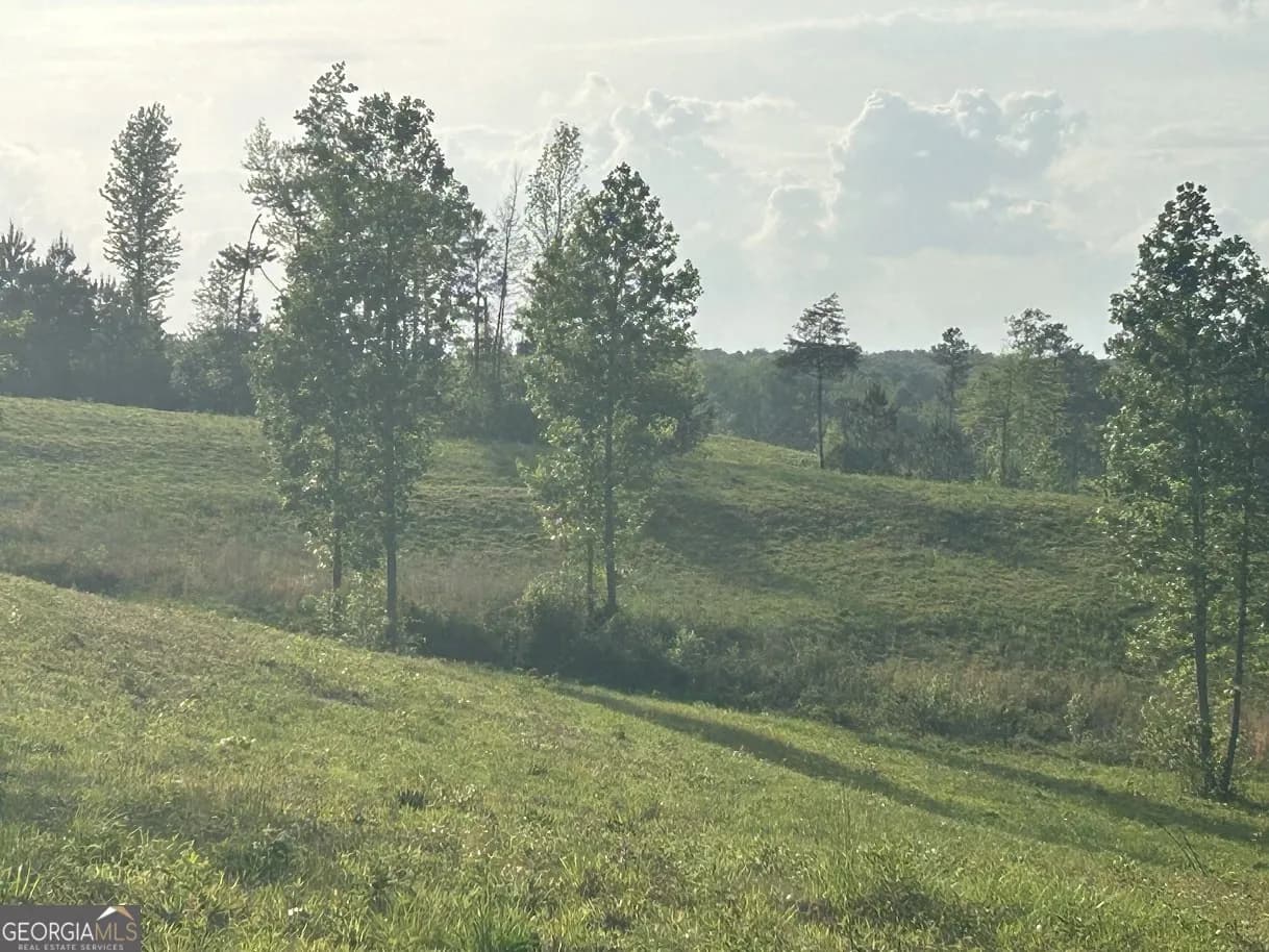 0 Needmore Road - (345.37 Acres) — photo 13 of 39
