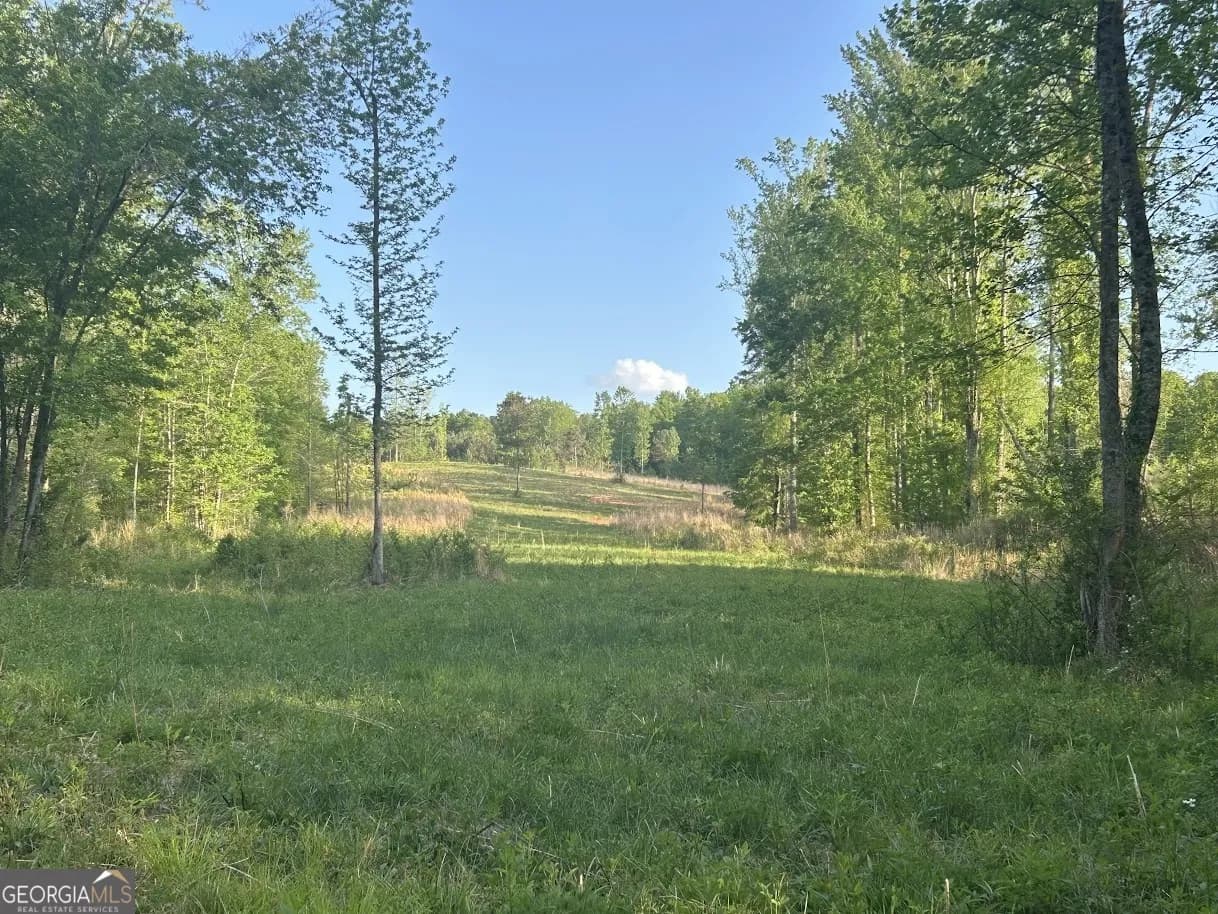 0 Needmore Road - (345.37 Acres) — photo 24 of 39