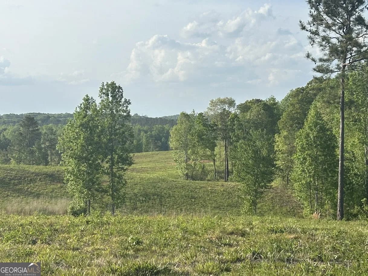 0 Needmore Road - (345.37 Acres) — photo 3 of 39