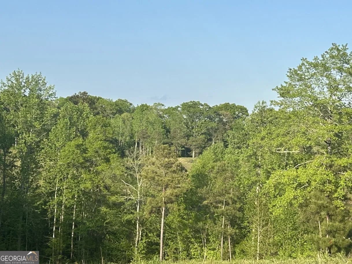 0 Needmore Road - (345.37 Acres) — photo 21 of 39