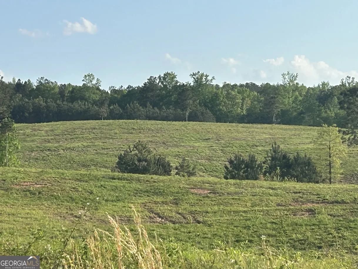 0 Needmore Road - (345.37 Acres) — photo 37 of 39
