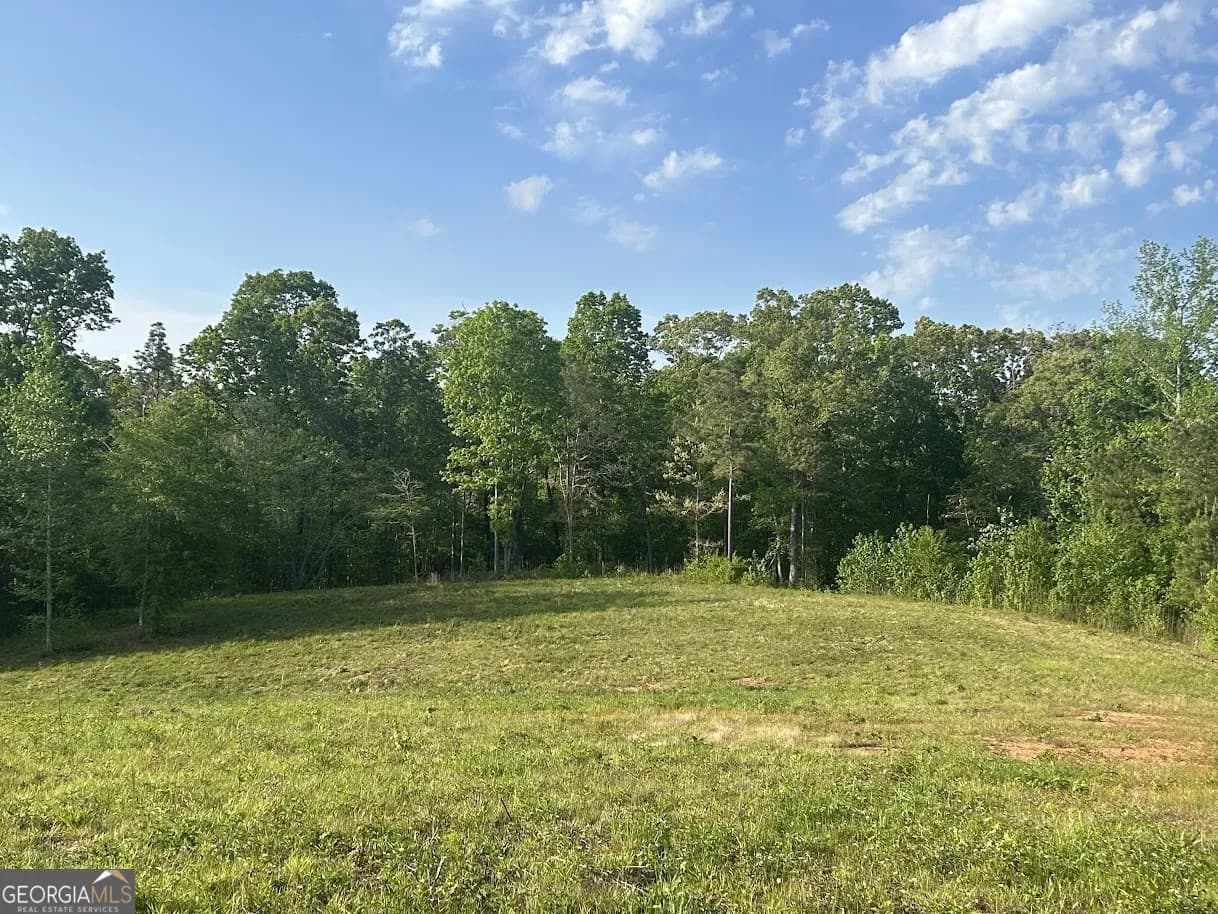 0 Needmore Road - (345.37 Acres) — photo 7 of 39