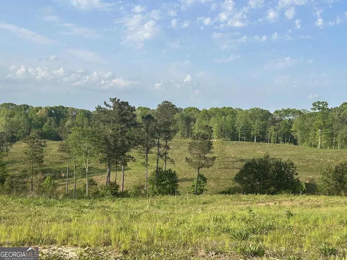 0 Needmore Road - (345.37 Acres) — photo 15 of 39