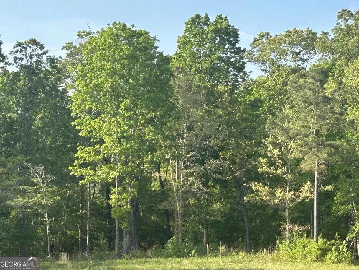 0 Needmore Road - (345.37 Acres) — photo 8 of 39