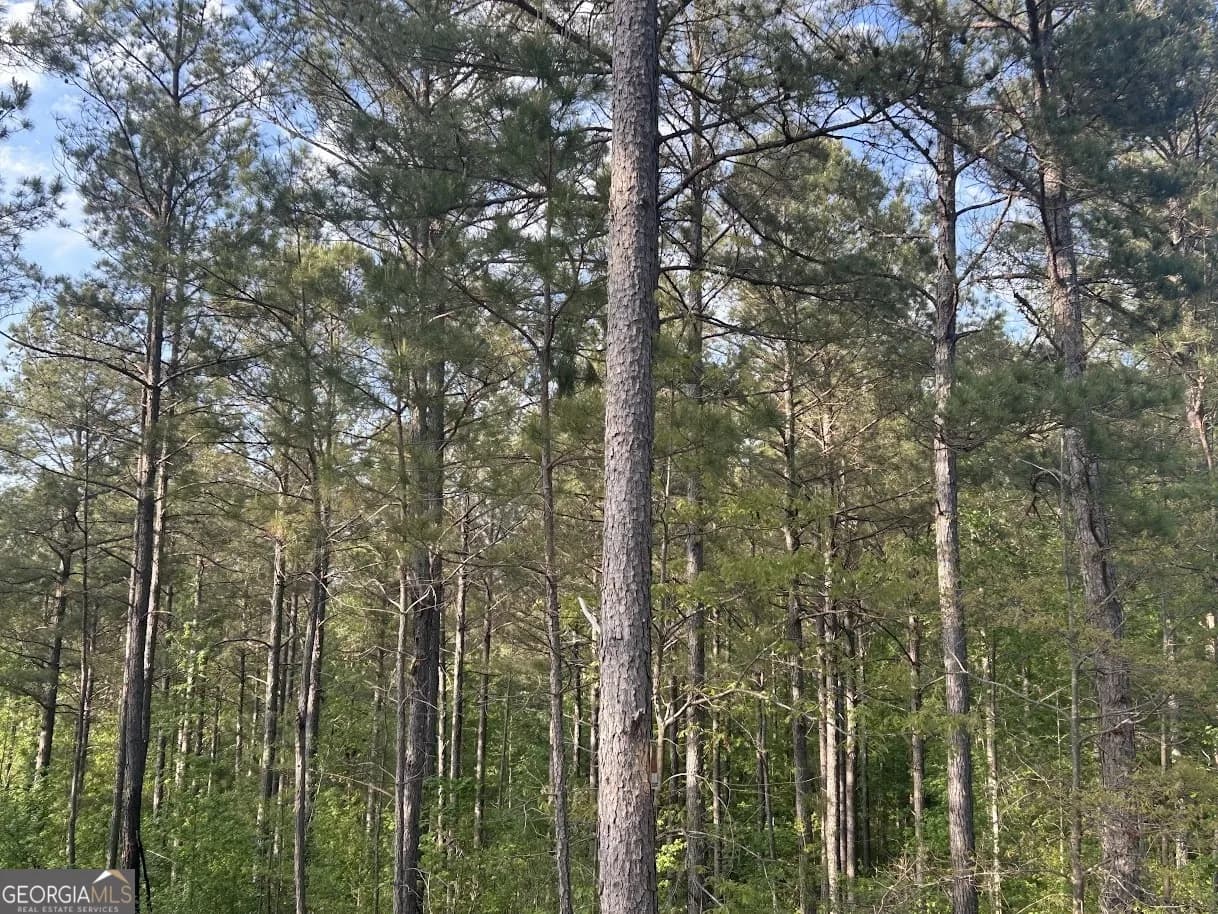0 Needmore Road - (345.37 Acres) — photo 34 of 39