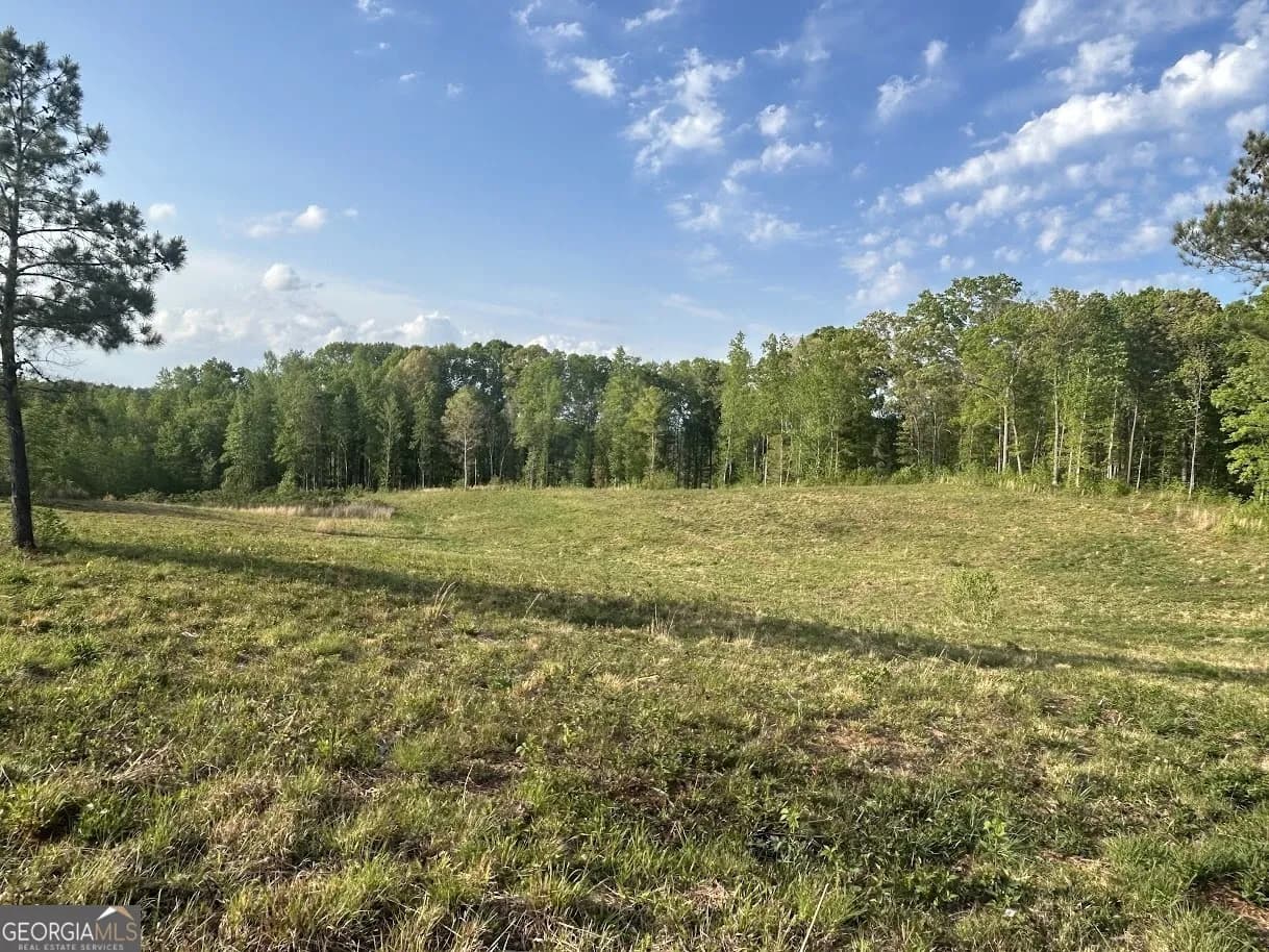 0 Needmore Road - (345.37 Acres) — photo 12 of 39