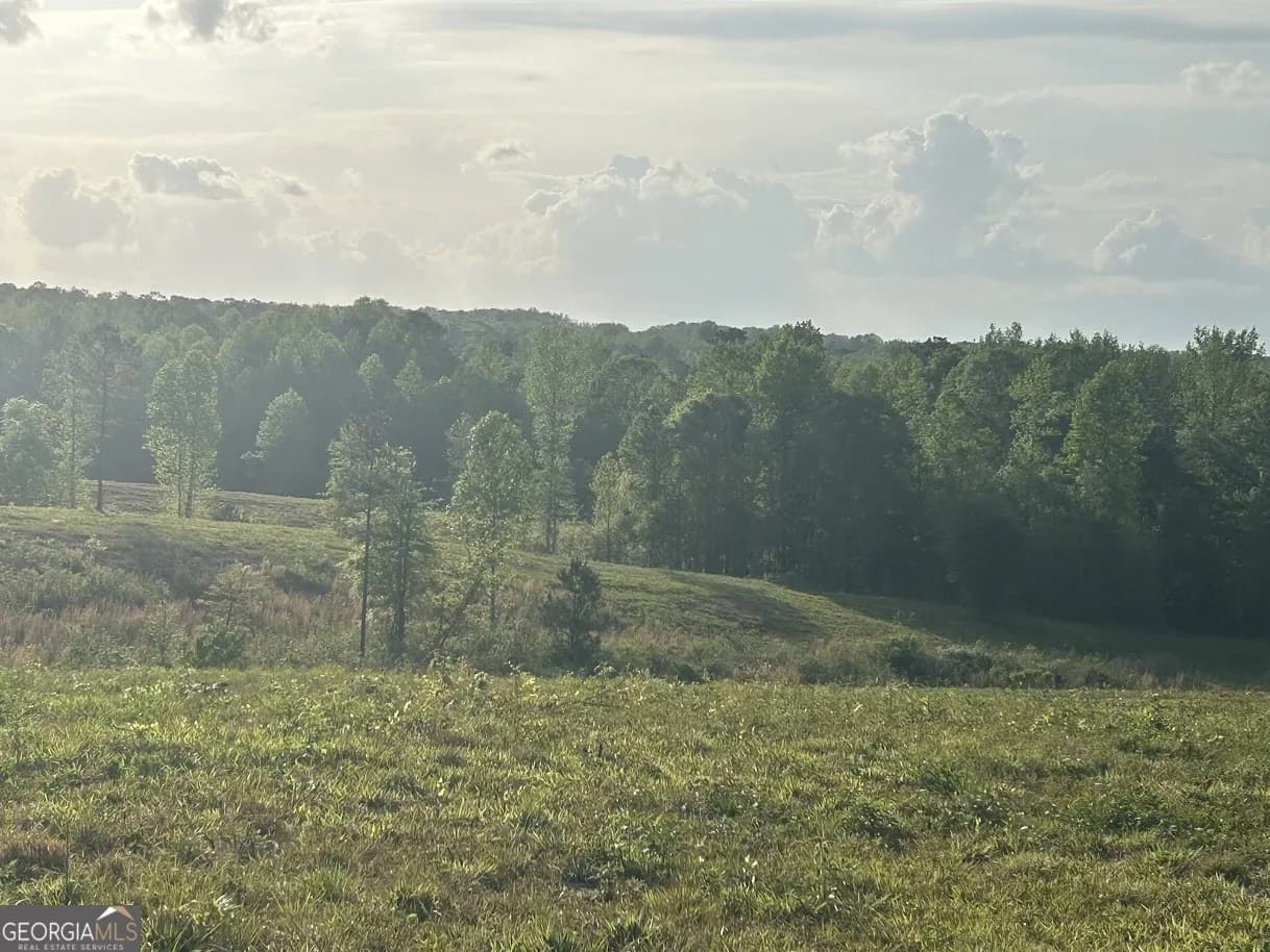 0 Needmore Road - (345.37 Acres) — photo 10 of 39