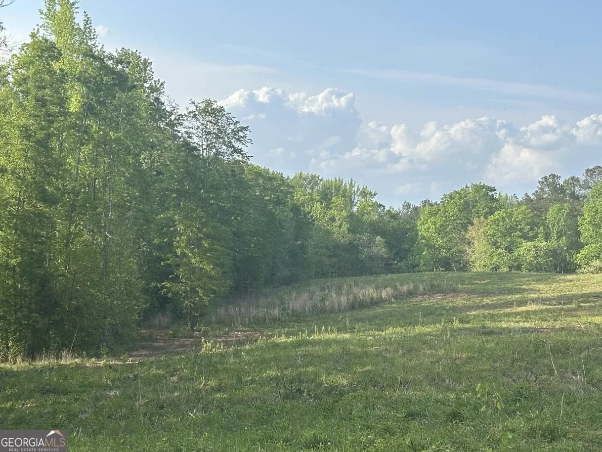 0 Needmore Road - (345.37 Acres) — photo 6 of 39
