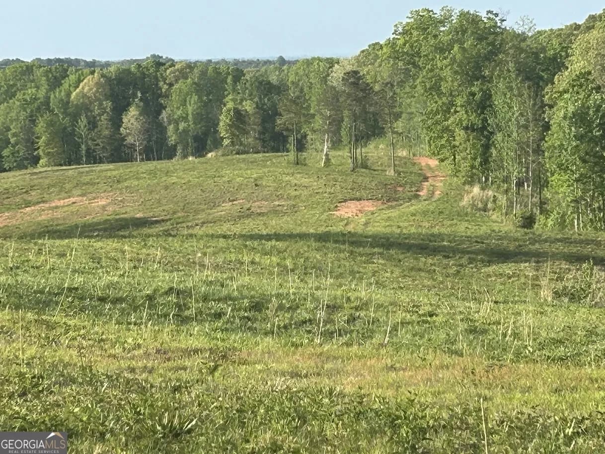 0 Needmore Road - (345.37 Acres) — photo 2 of 39