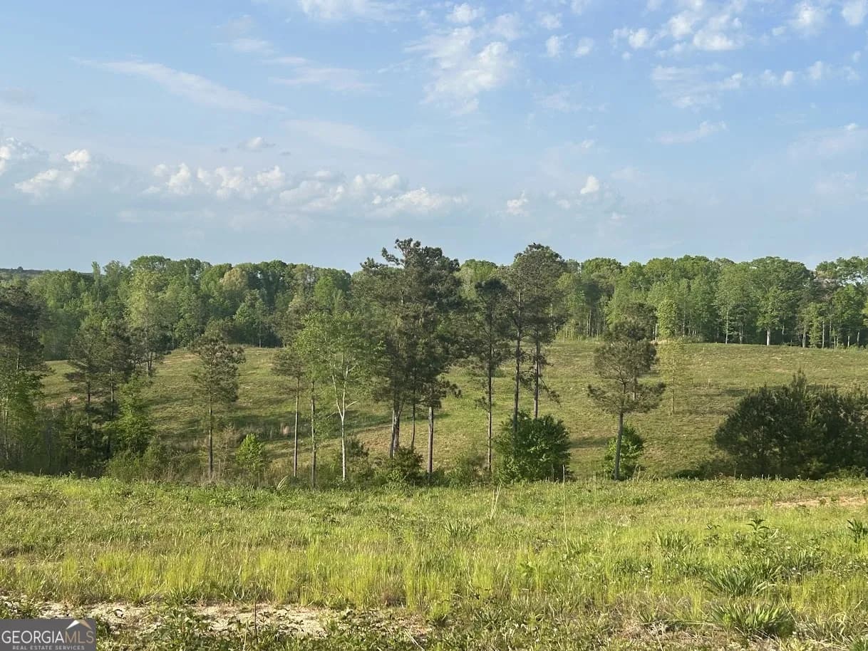 0 Needmore Road - (345.37 Acres) — photo 14 of 39