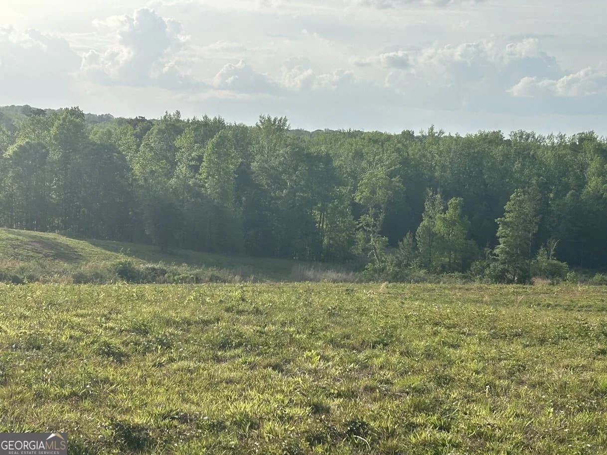 0 Needmore Road - (345.37 Acres) — photo 11 of 39