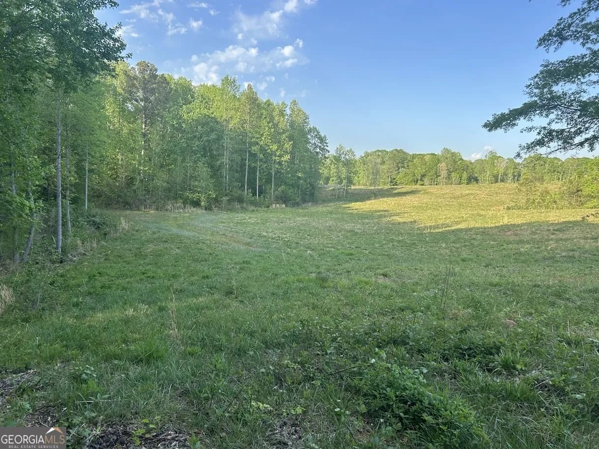 0 Needmore Road - (345.37 Acres) — photo 19 of 39